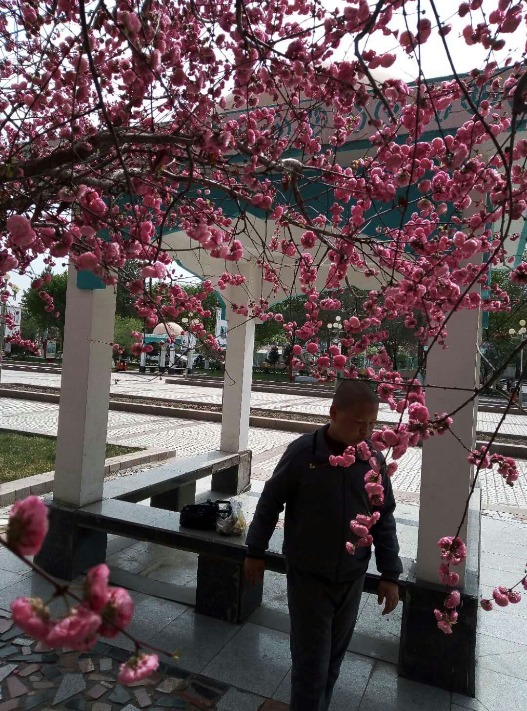 Mmexport1571152012776