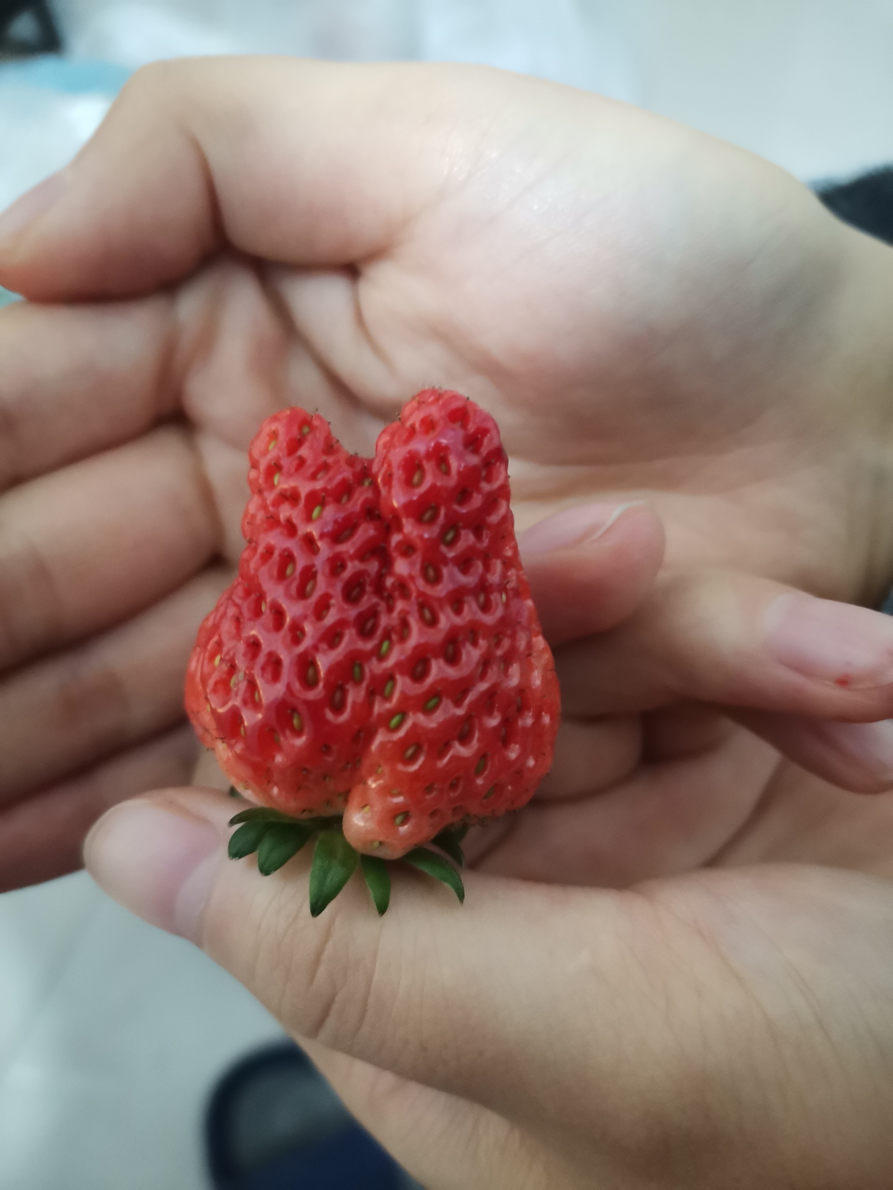 2024 0328 2041 · 西安东区23