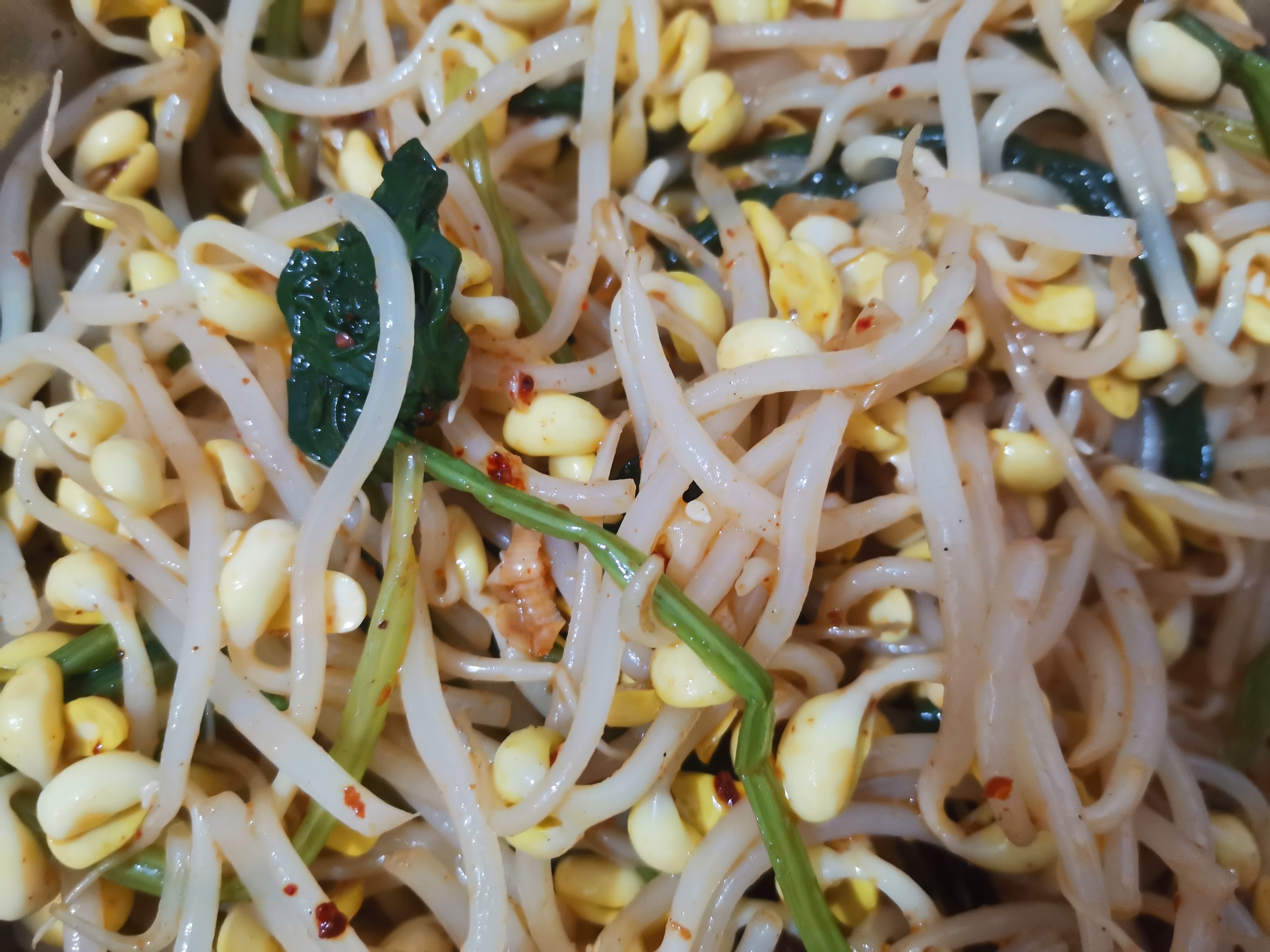 2024 0807 0731  · 东区23 · 减肥午餐 · 凉拌豆芽