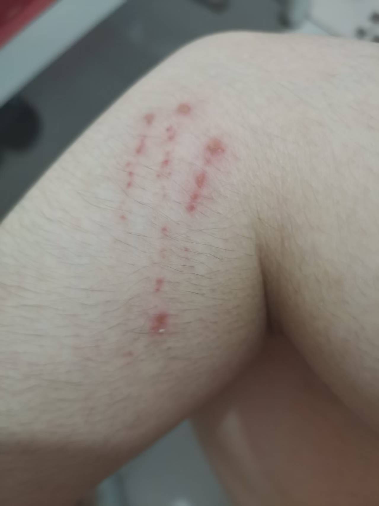 2025 0520 · 西安 · 嬉闹