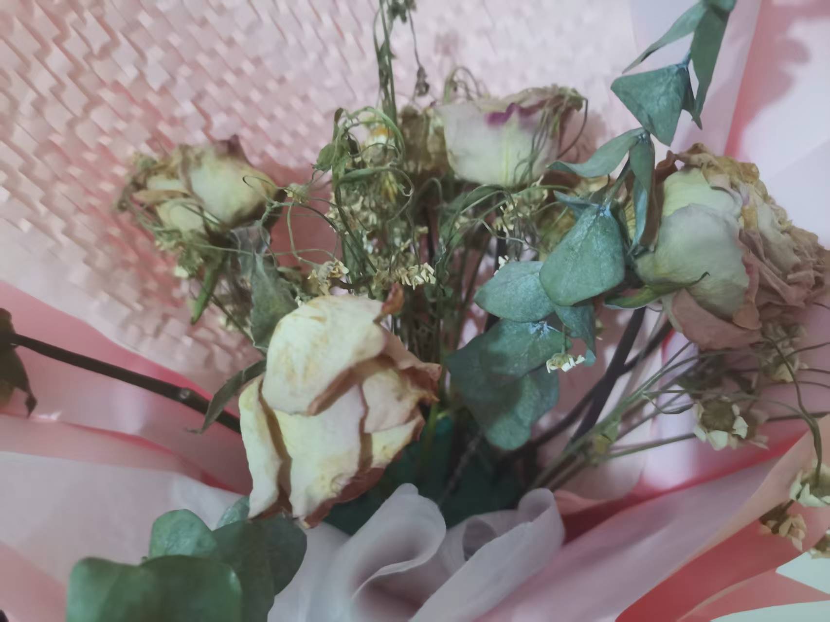 2025 0530 · 西安 · 绽放