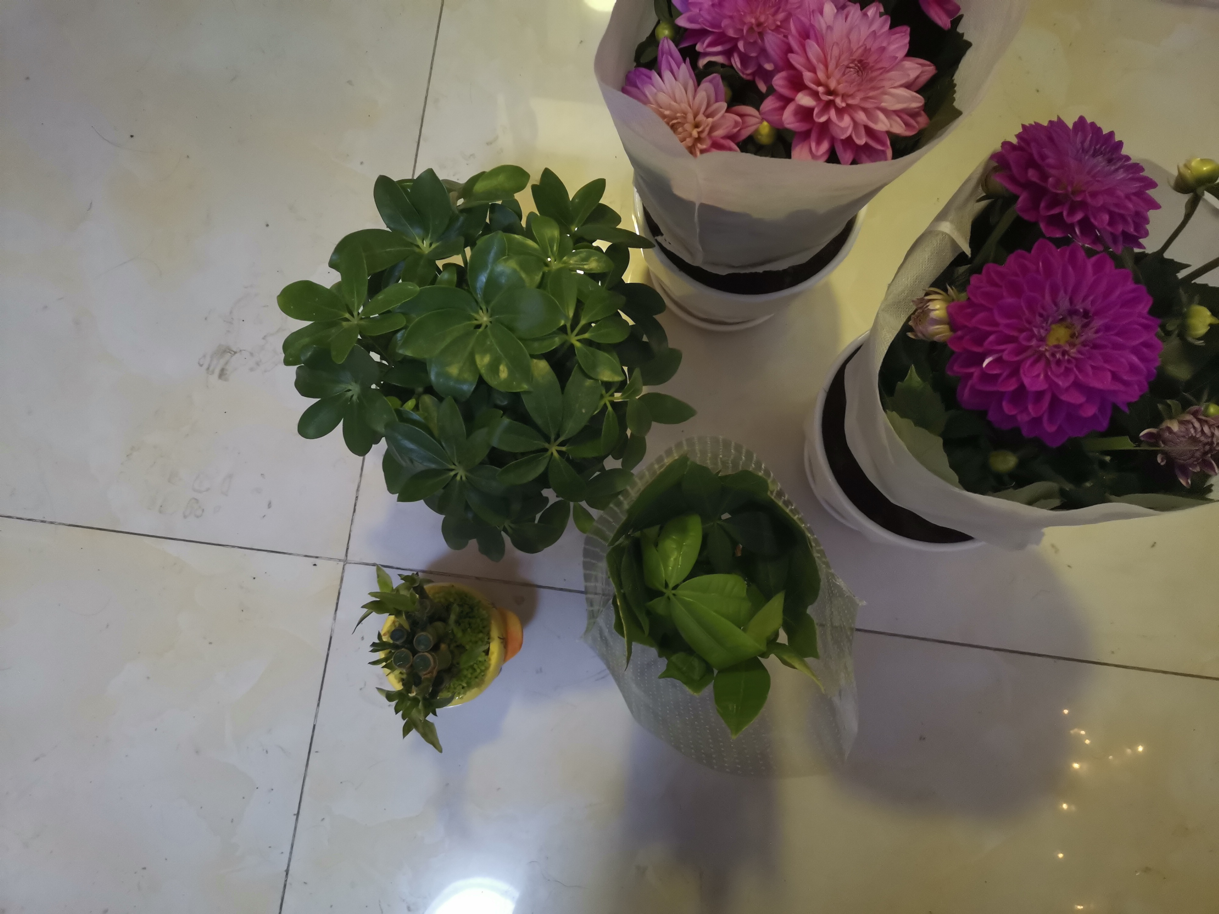 天津 · 20230331 · 抛弃