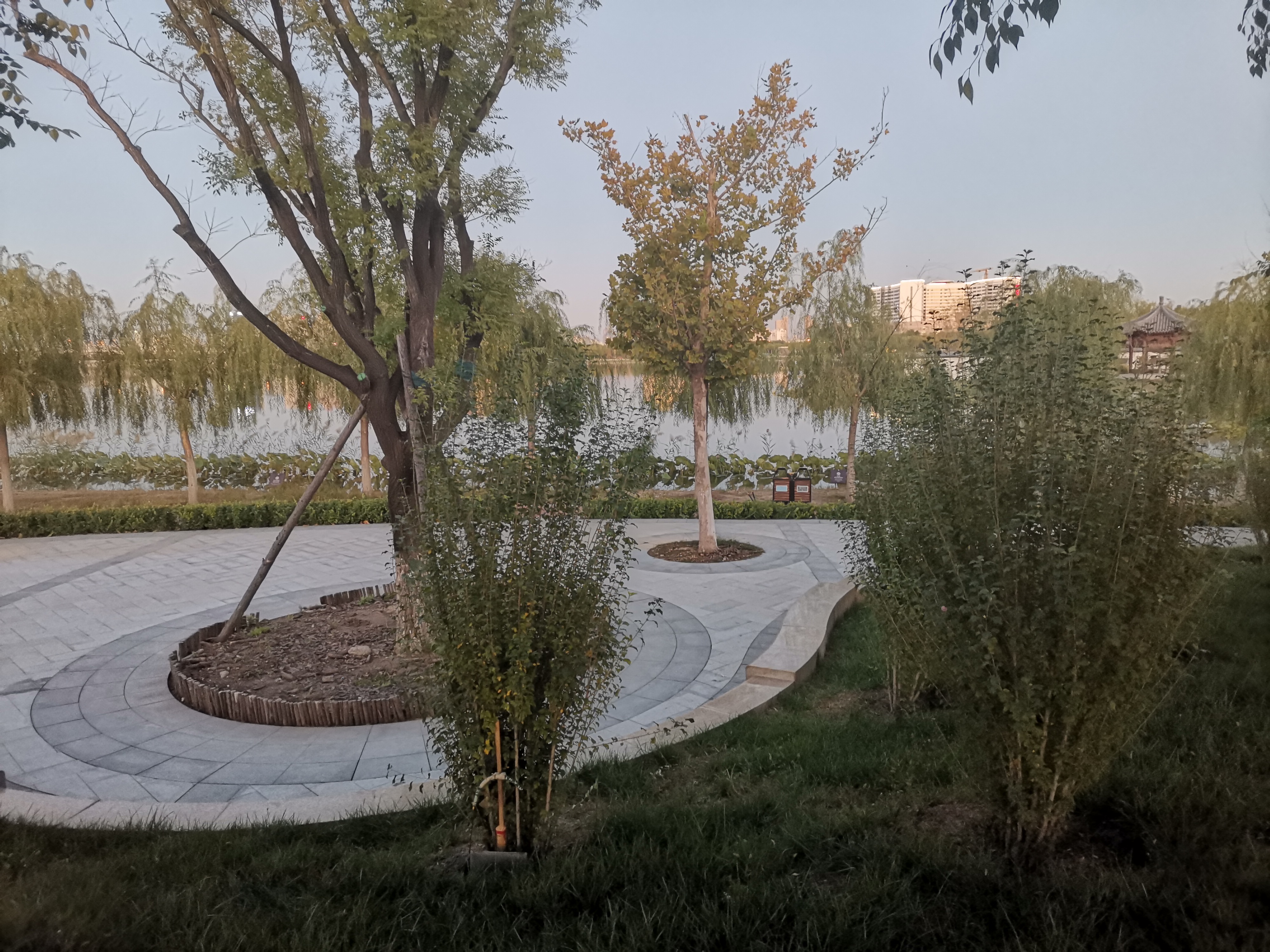 天津 · 水栖公园