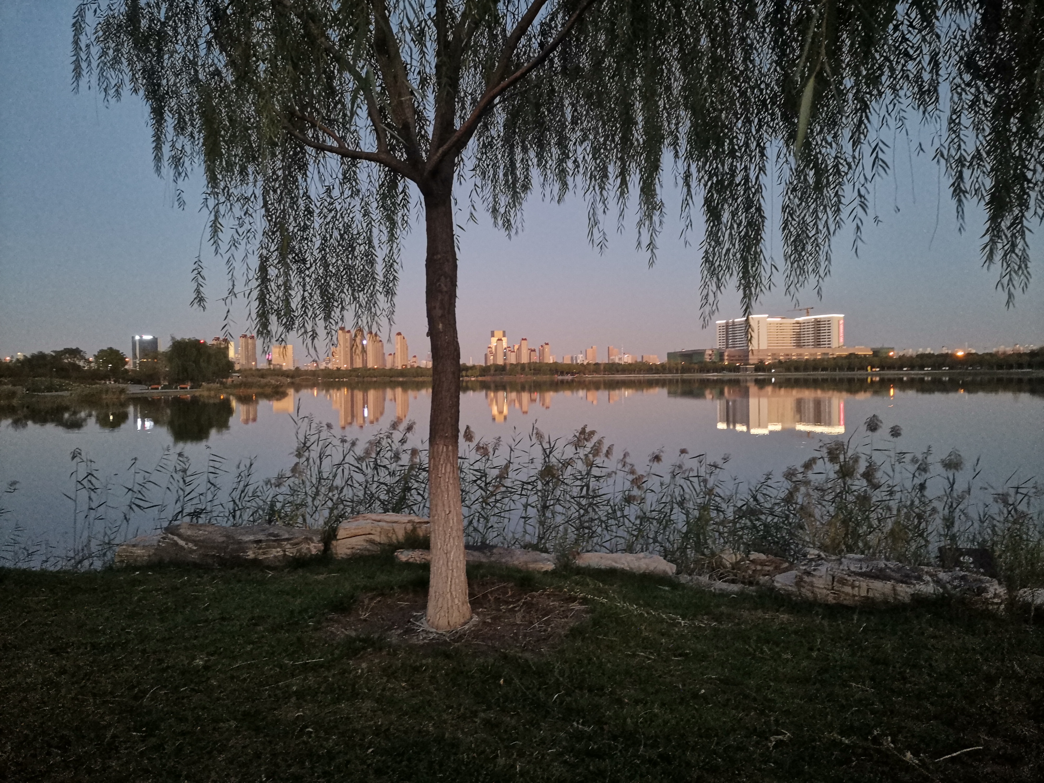 天津 · 水栖公园