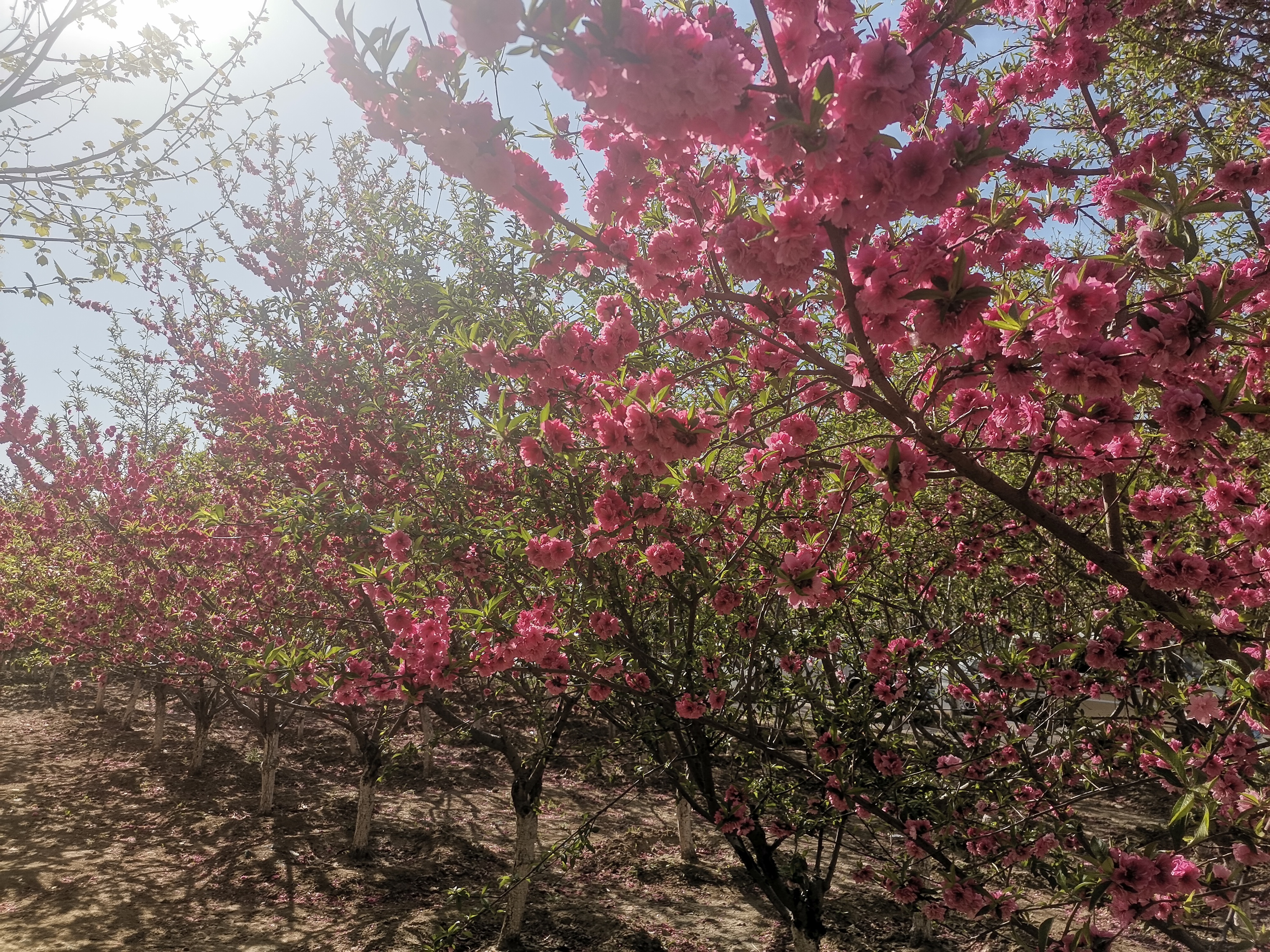 天津 · 公司周围