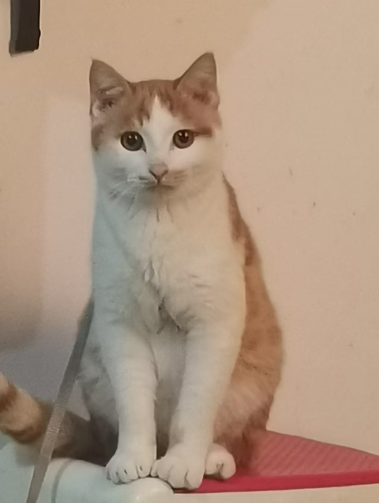 Create 202508140558591