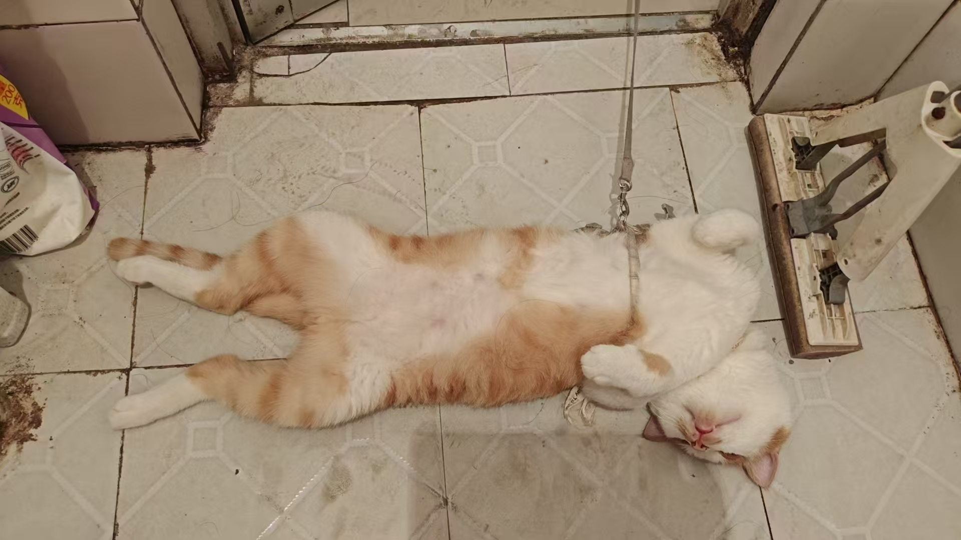 Create 202508140559001