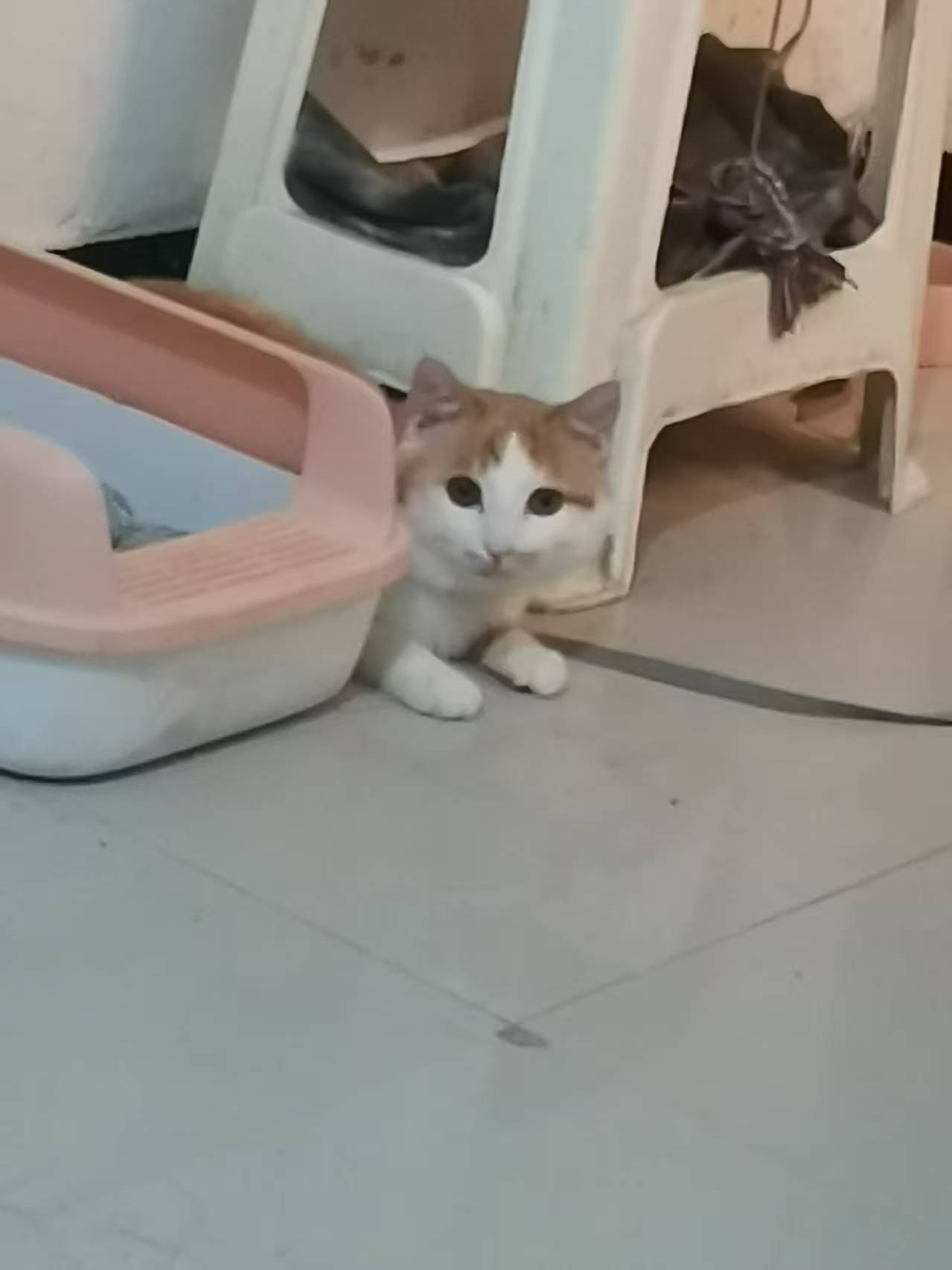 Create 202508140559011