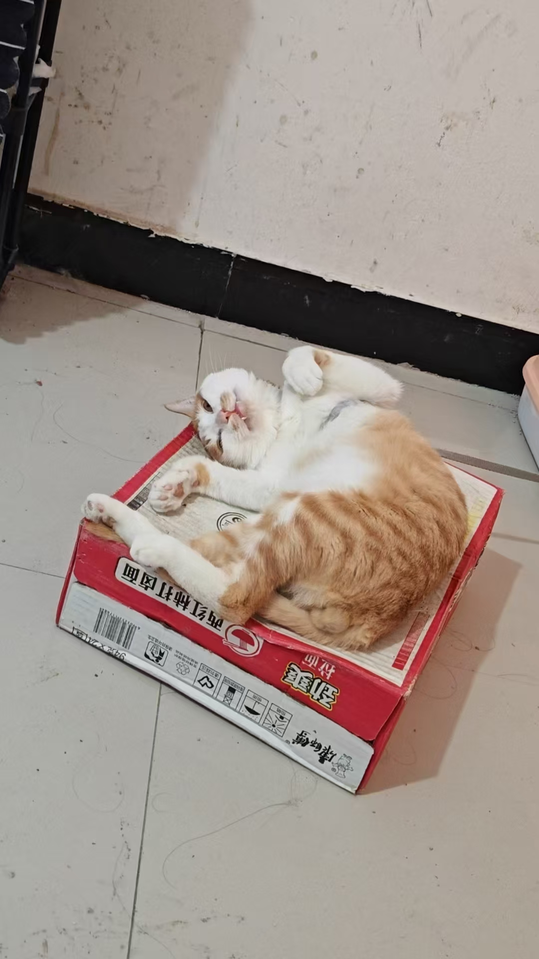 Create 202508140559023