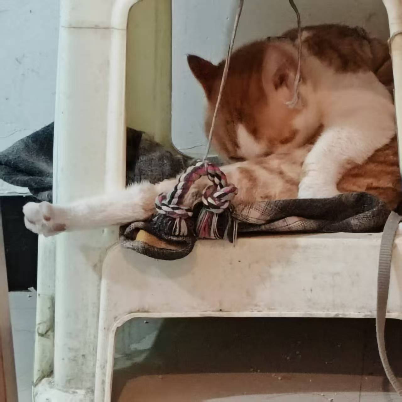 Create 20250814055911