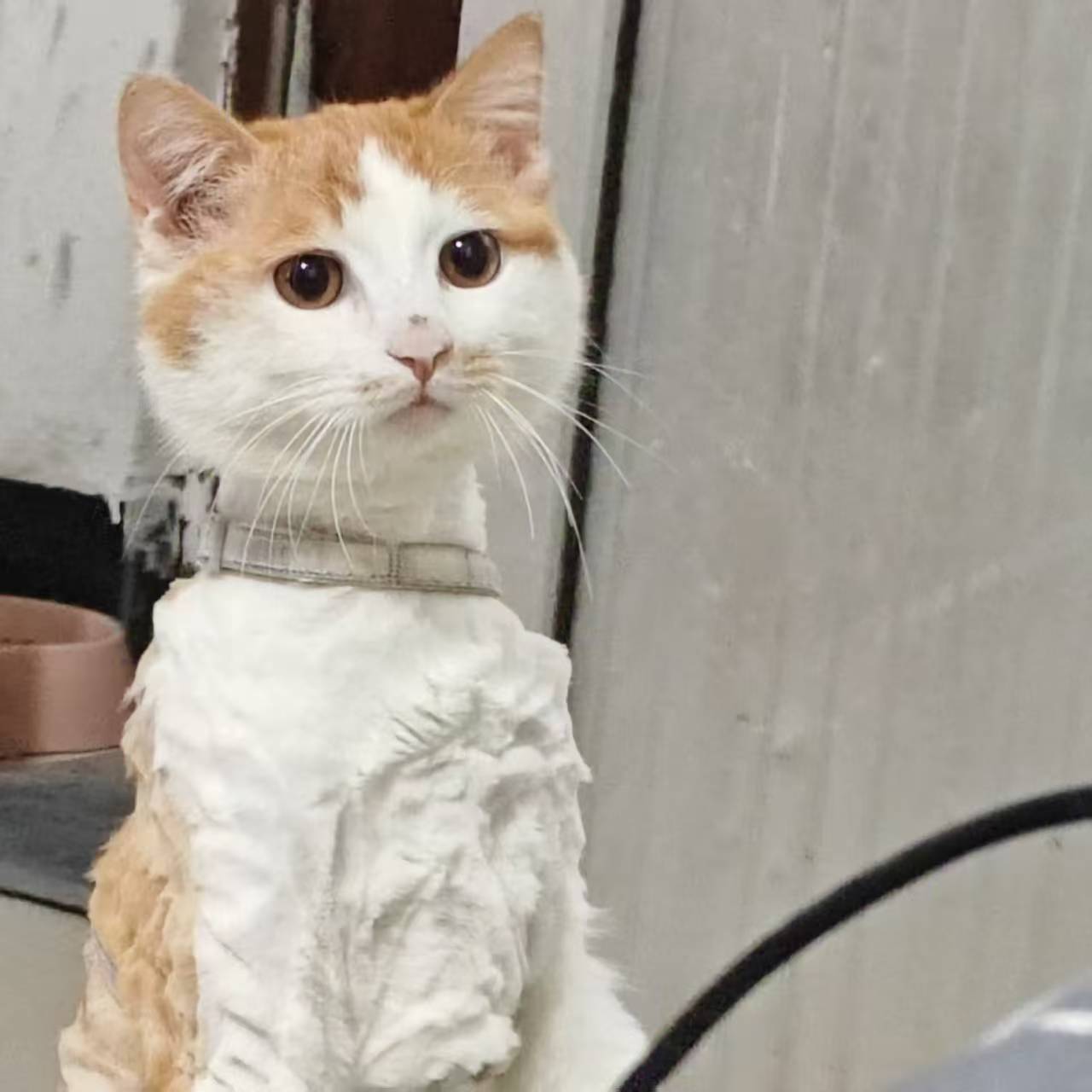 Create 20250814055944