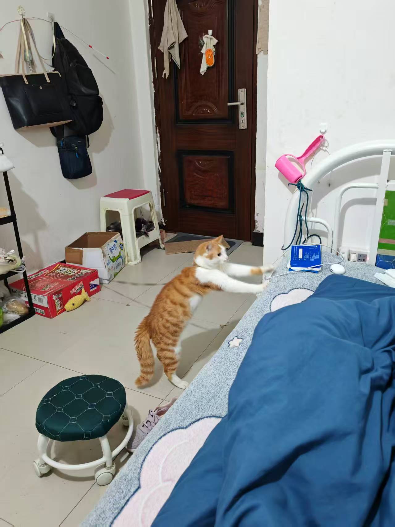 Create 202508140603593