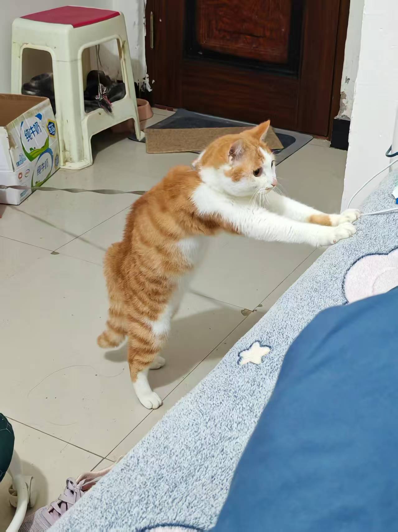 Create 202508140603595