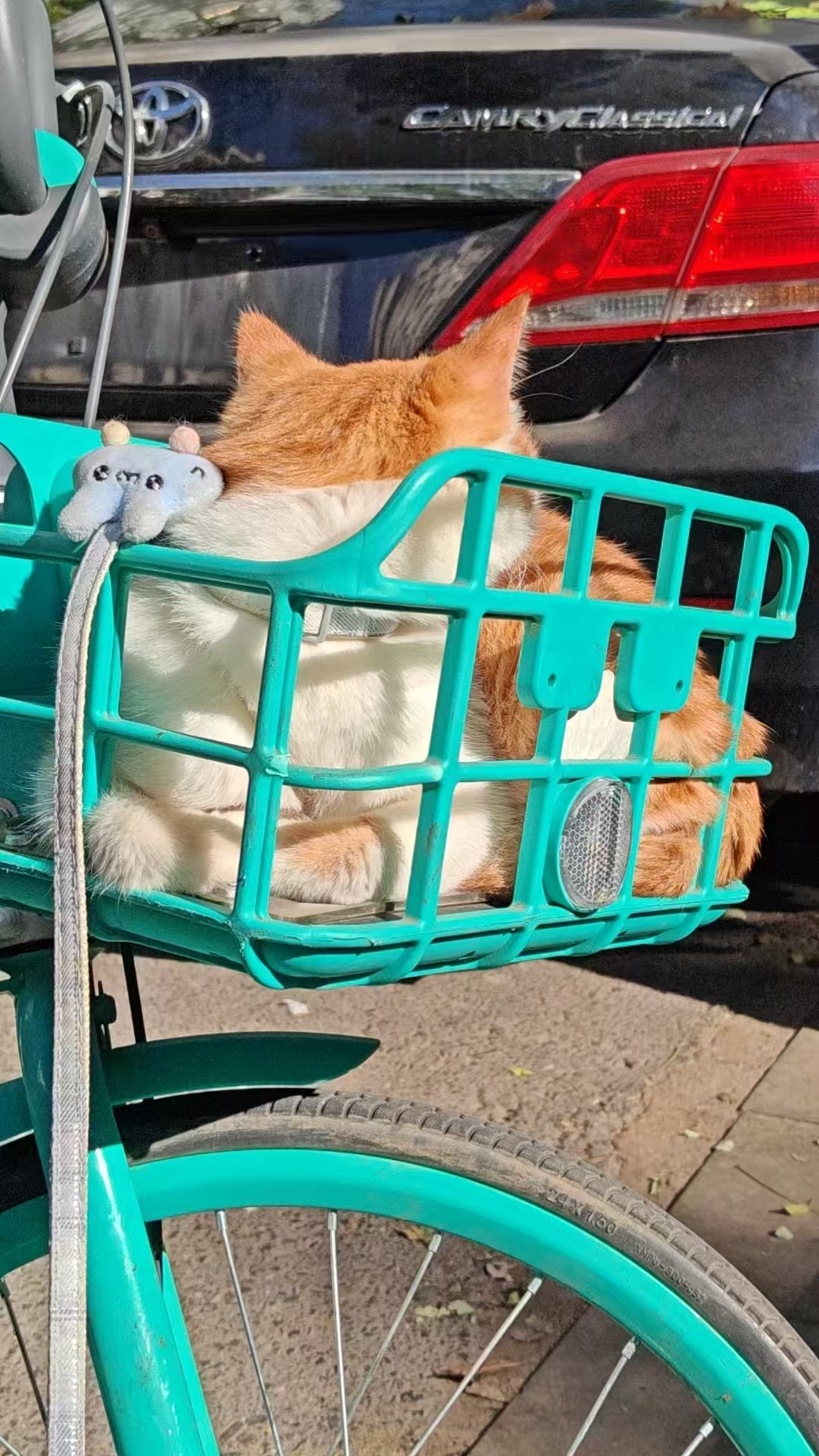 Create 202508140604001