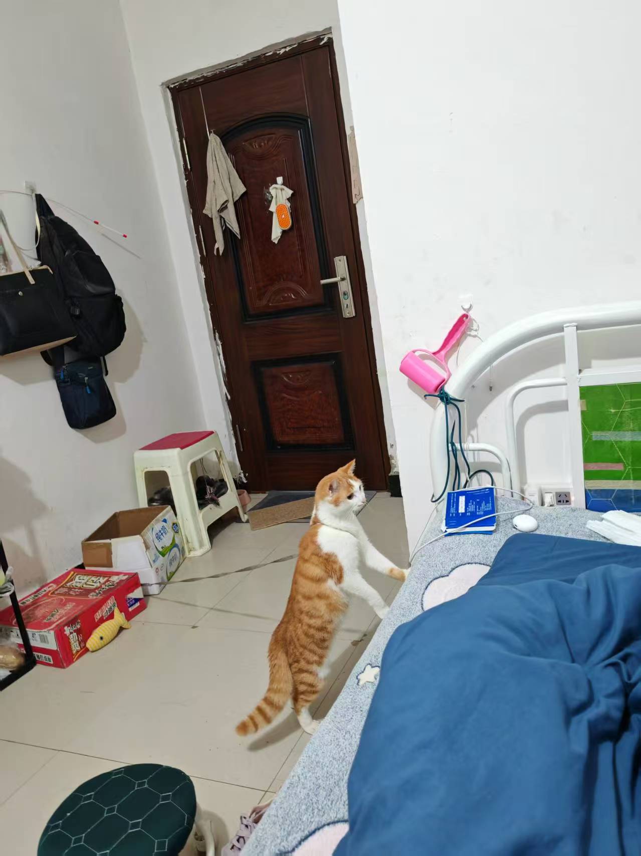 Create 202508140604003