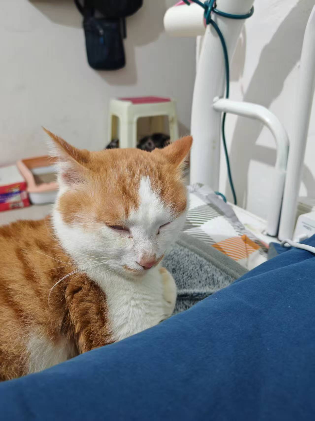 Create 202508140604004