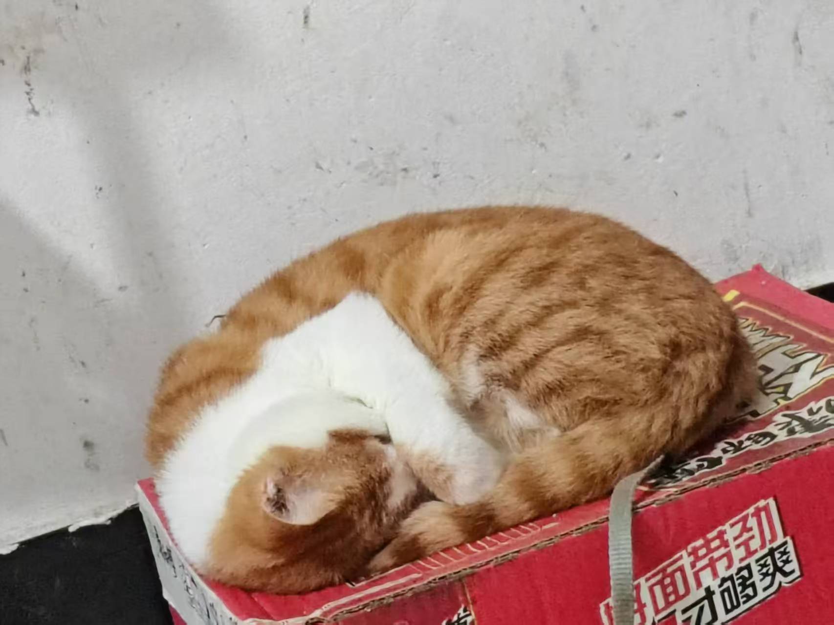 Create 202508140604006