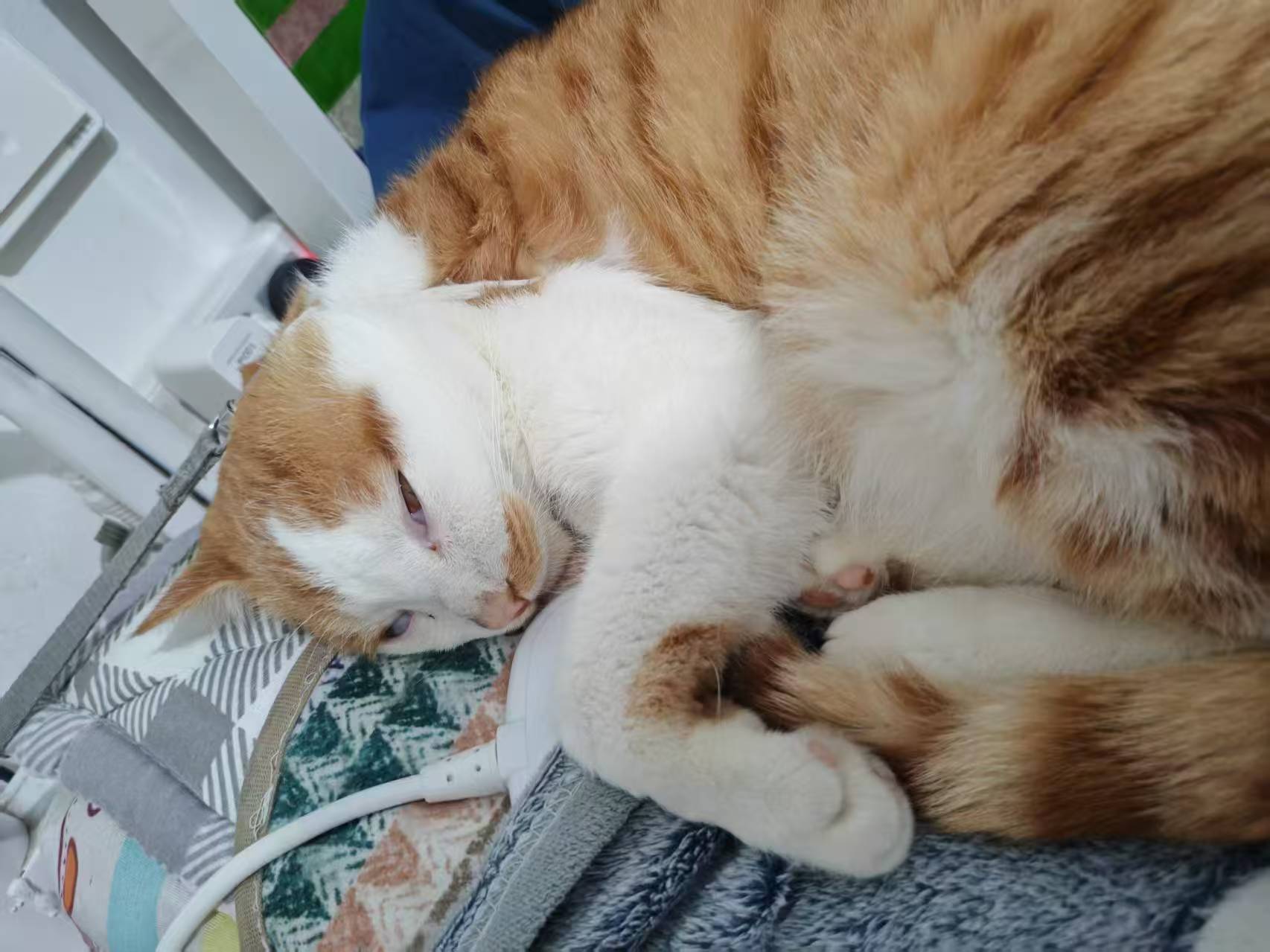 Create 202508140604012