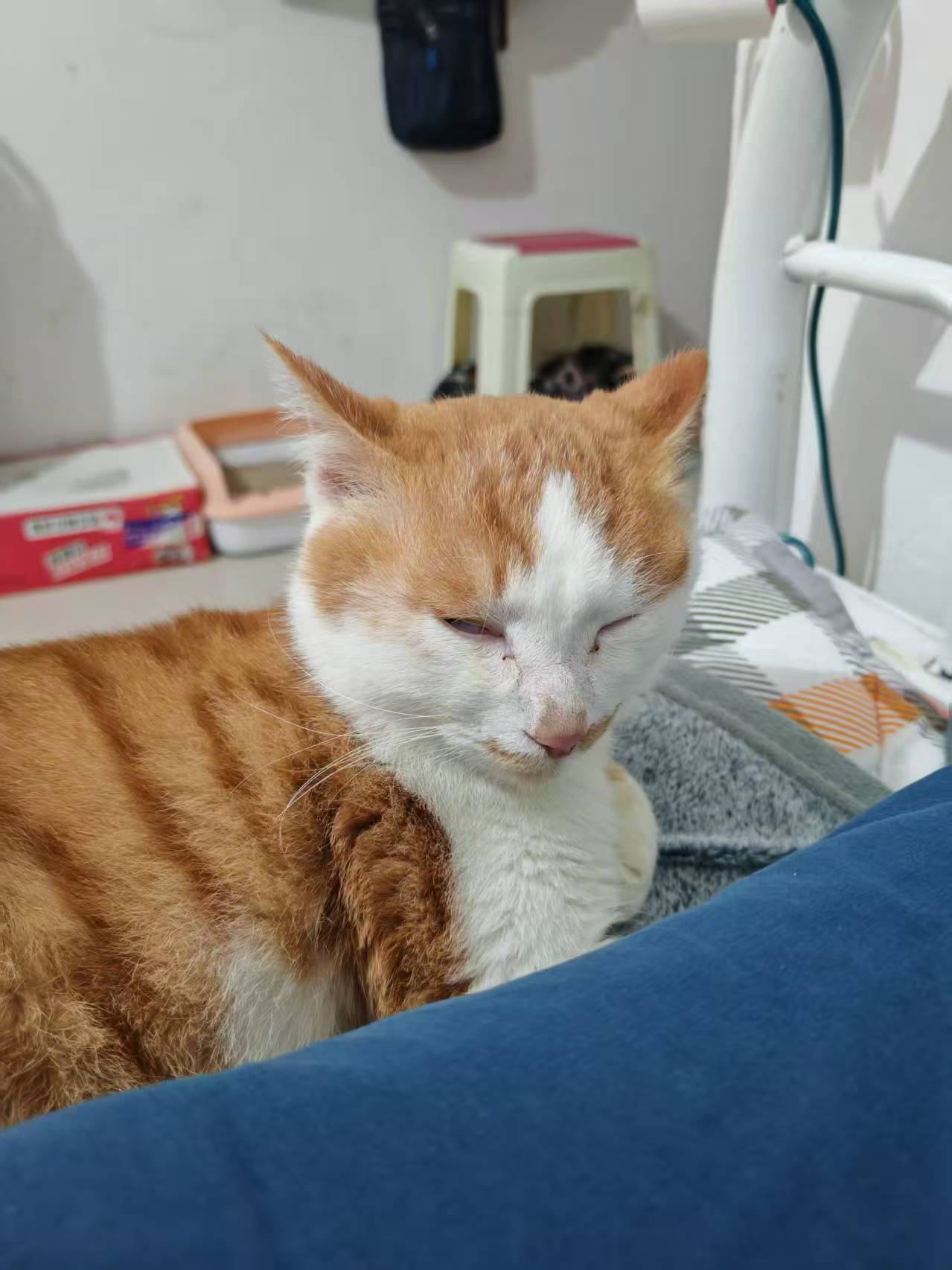 Create 202508140604013