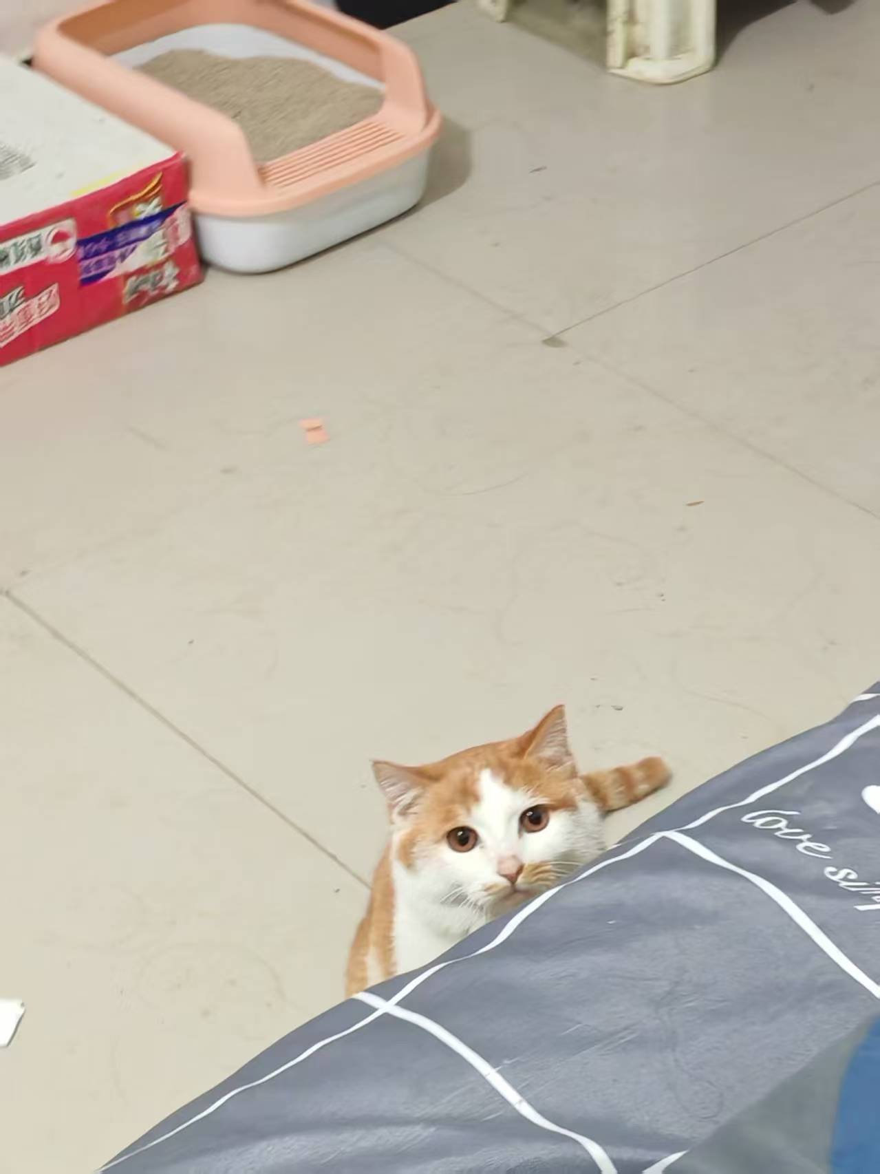 Create 202508140604014