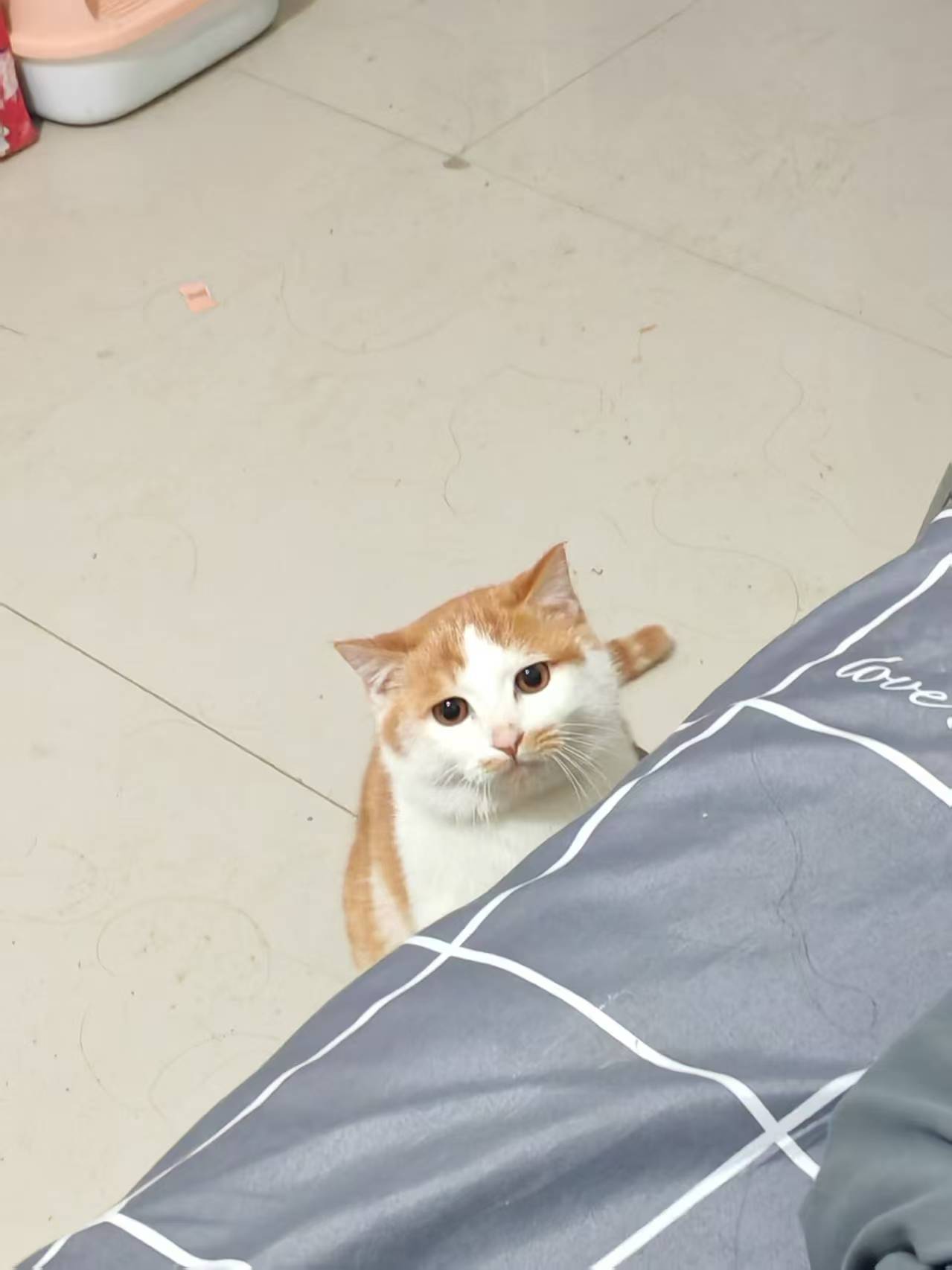 Create 202508140604015