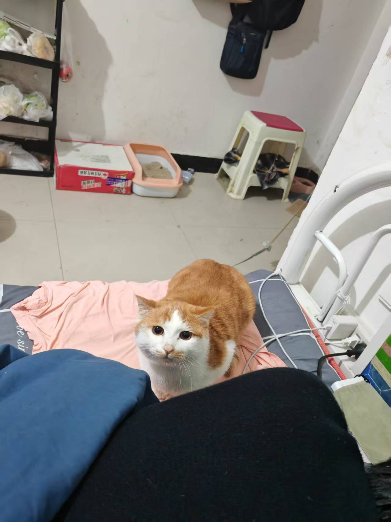 Create 202508140604023