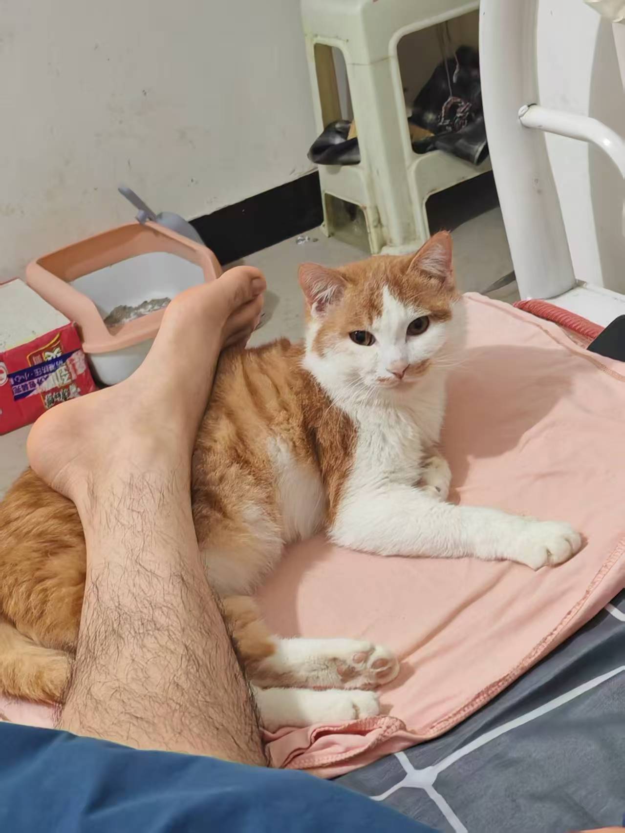 Create 202508140604027