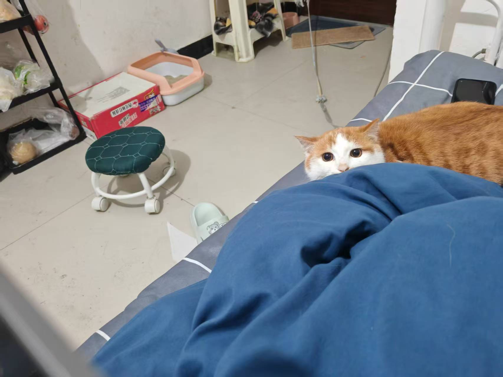 Create 202508140604029