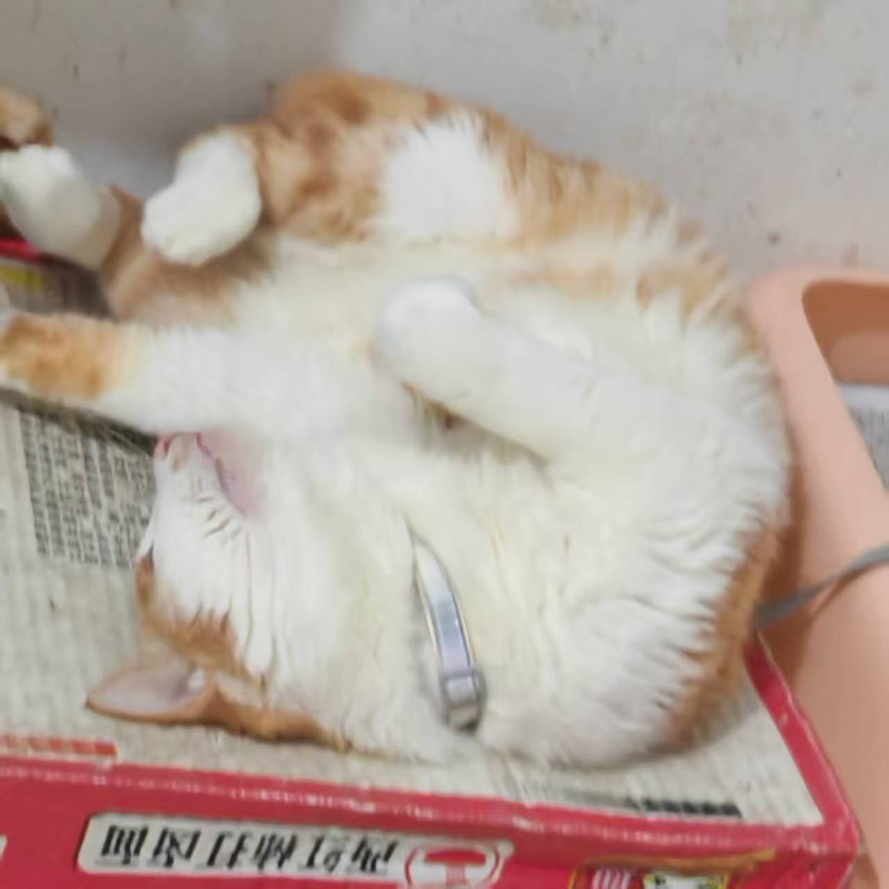 Create 20250814060403