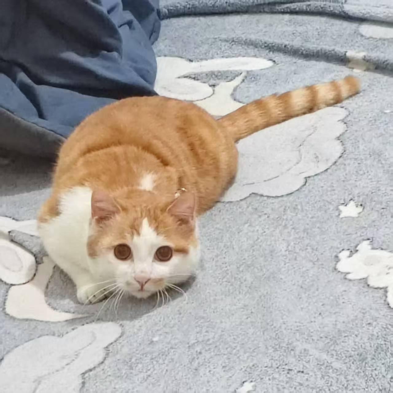 Create 202508140604032