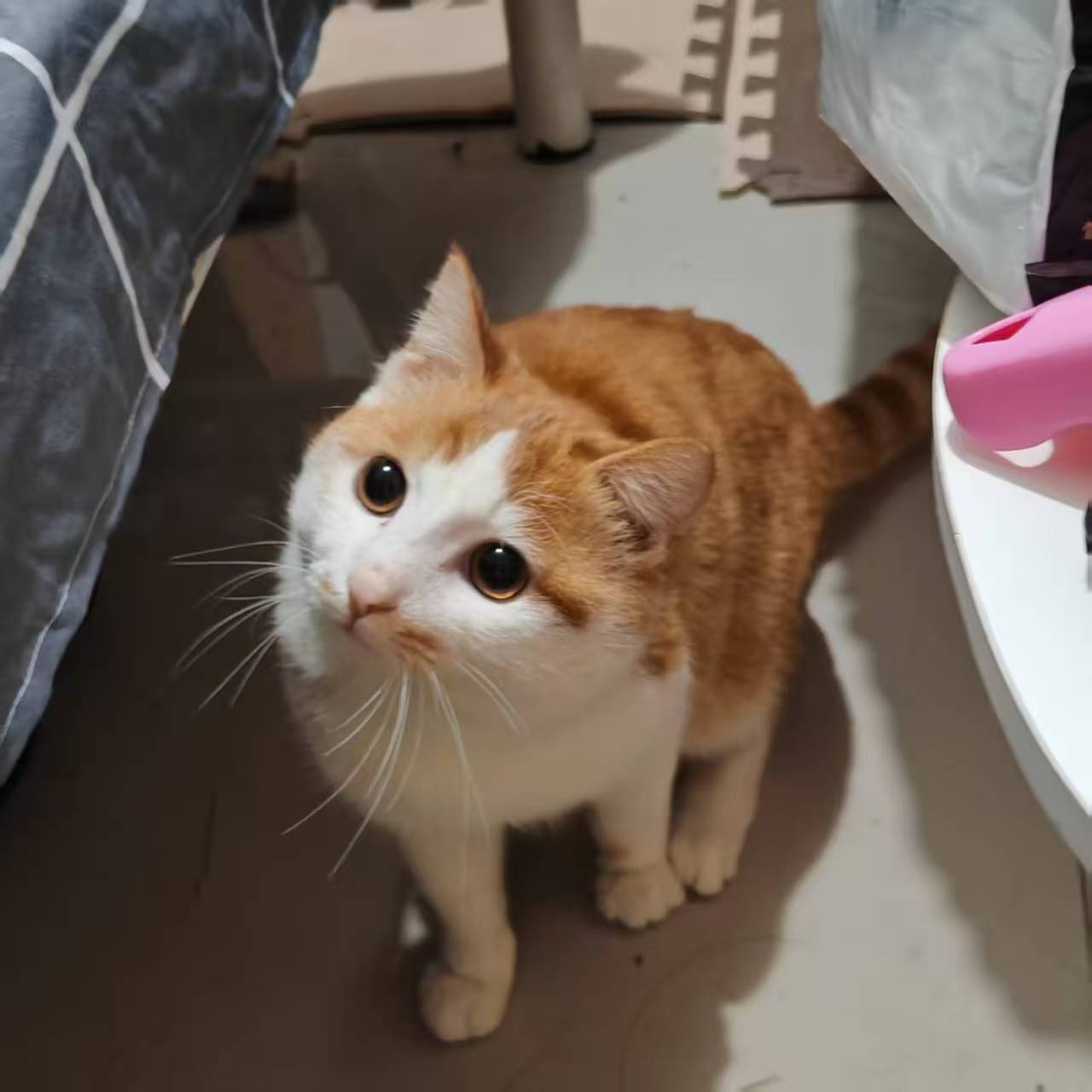 Create 202508140604033