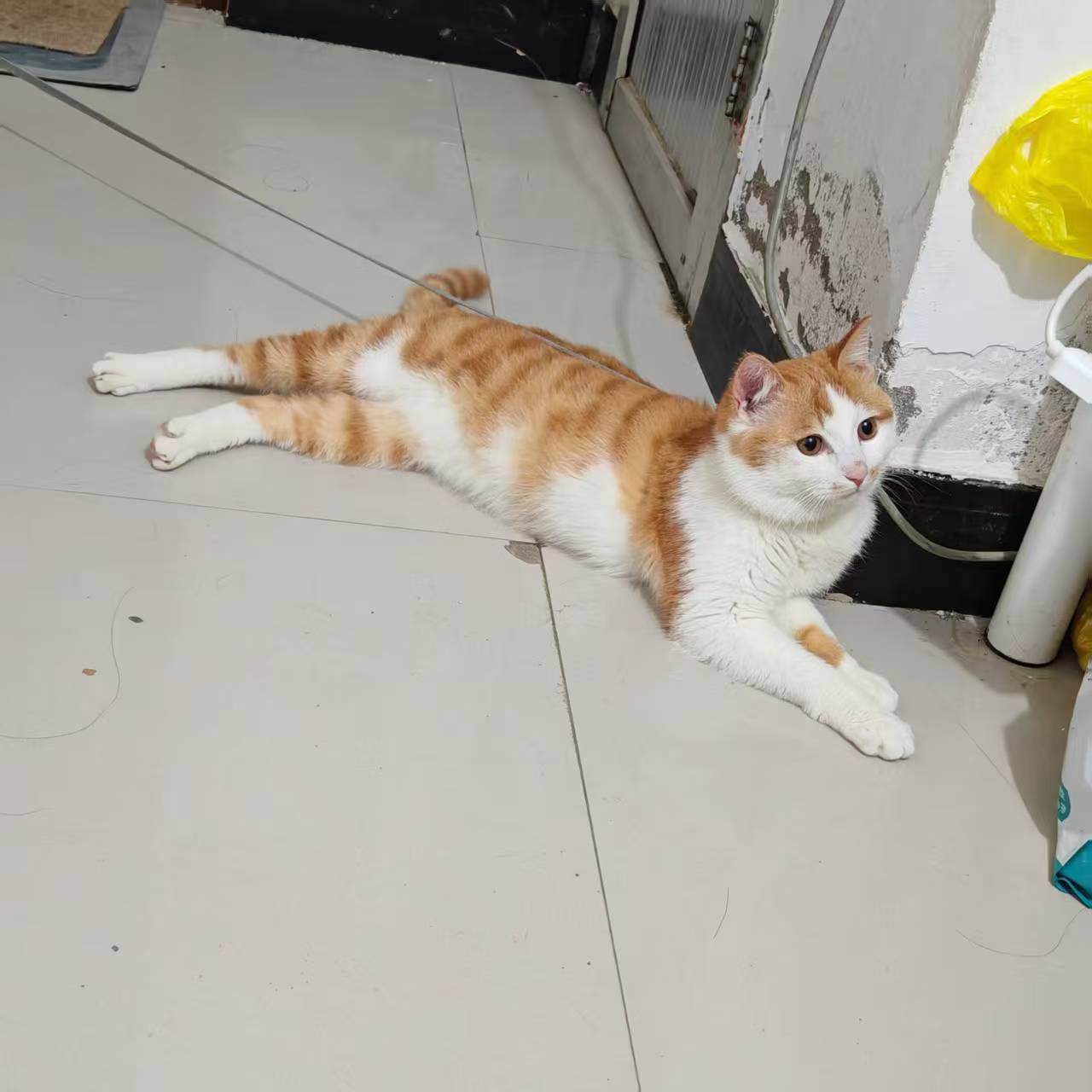 Create 202508140604036