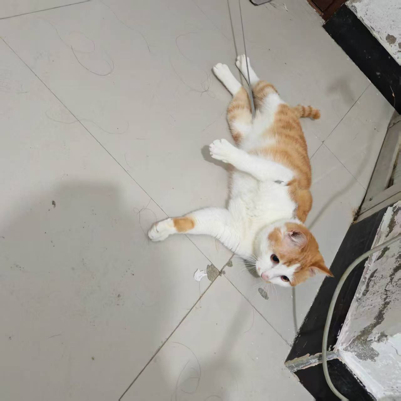 Create 202508140604041