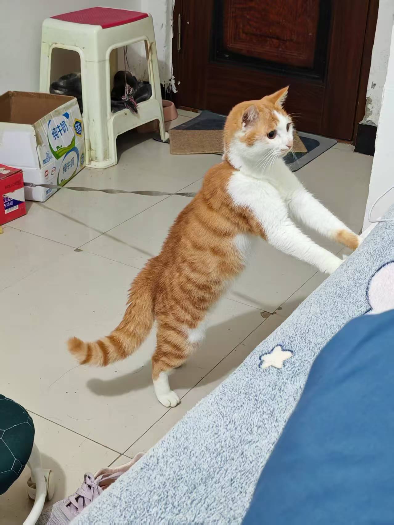 Create 202508140604081