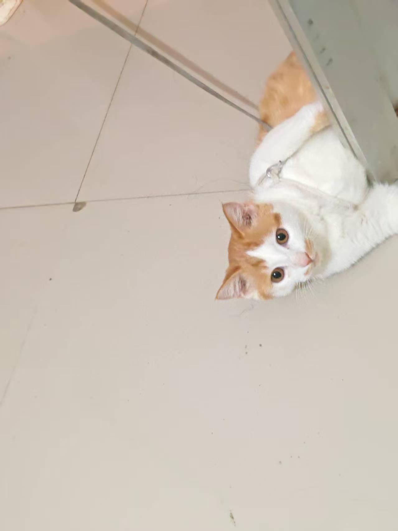 Create 202508140609392