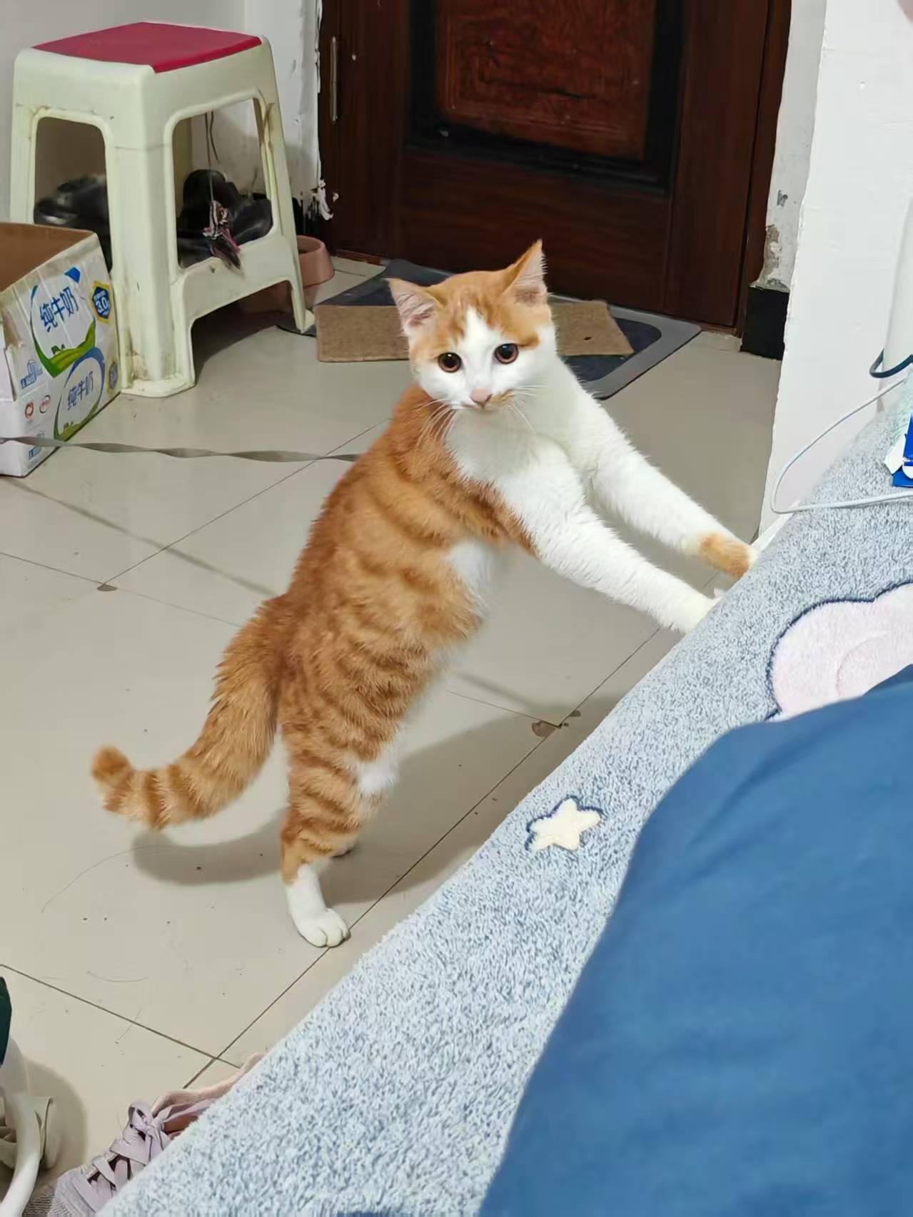 Create 202508140609393