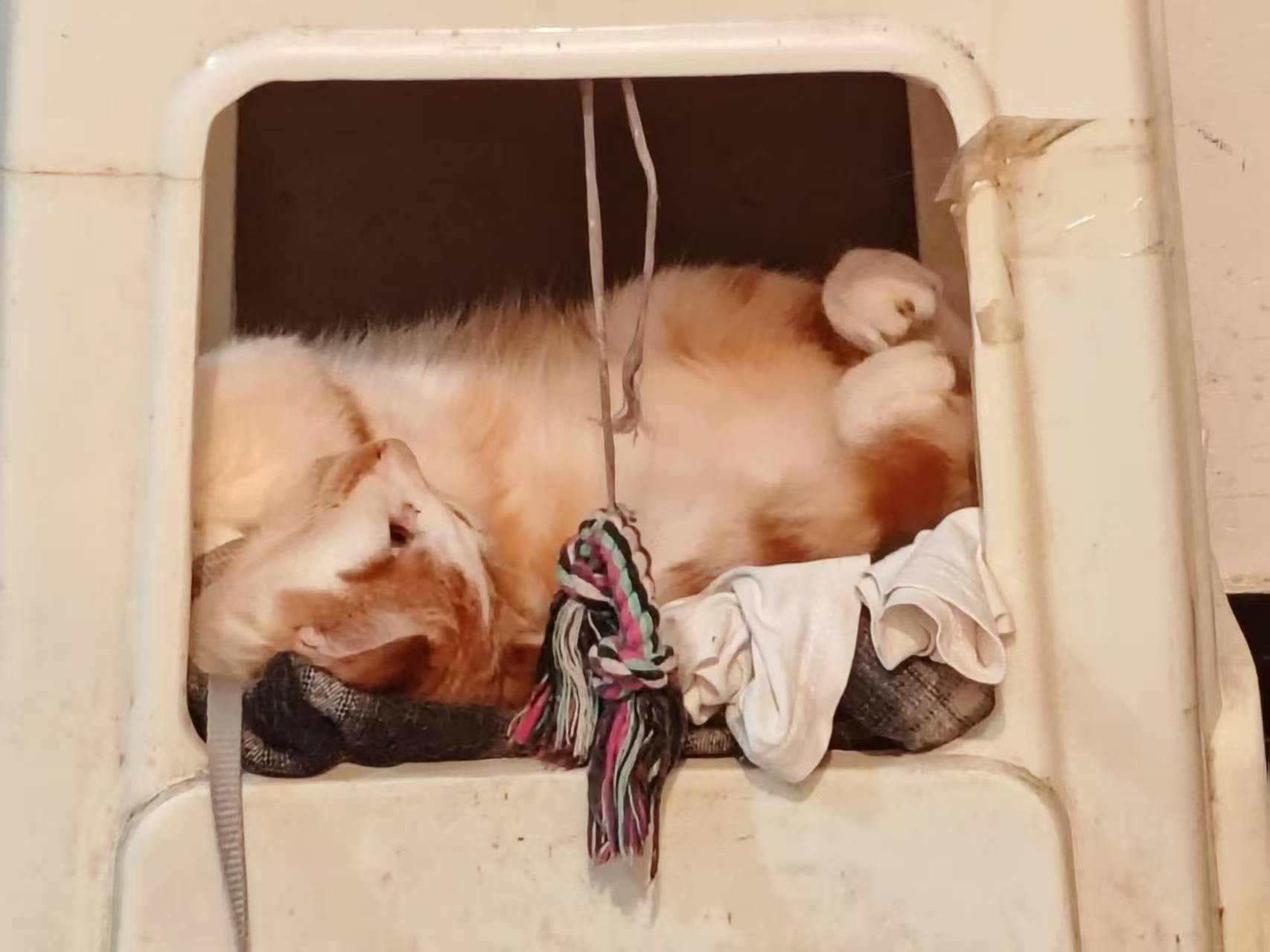 Create 202508140609394