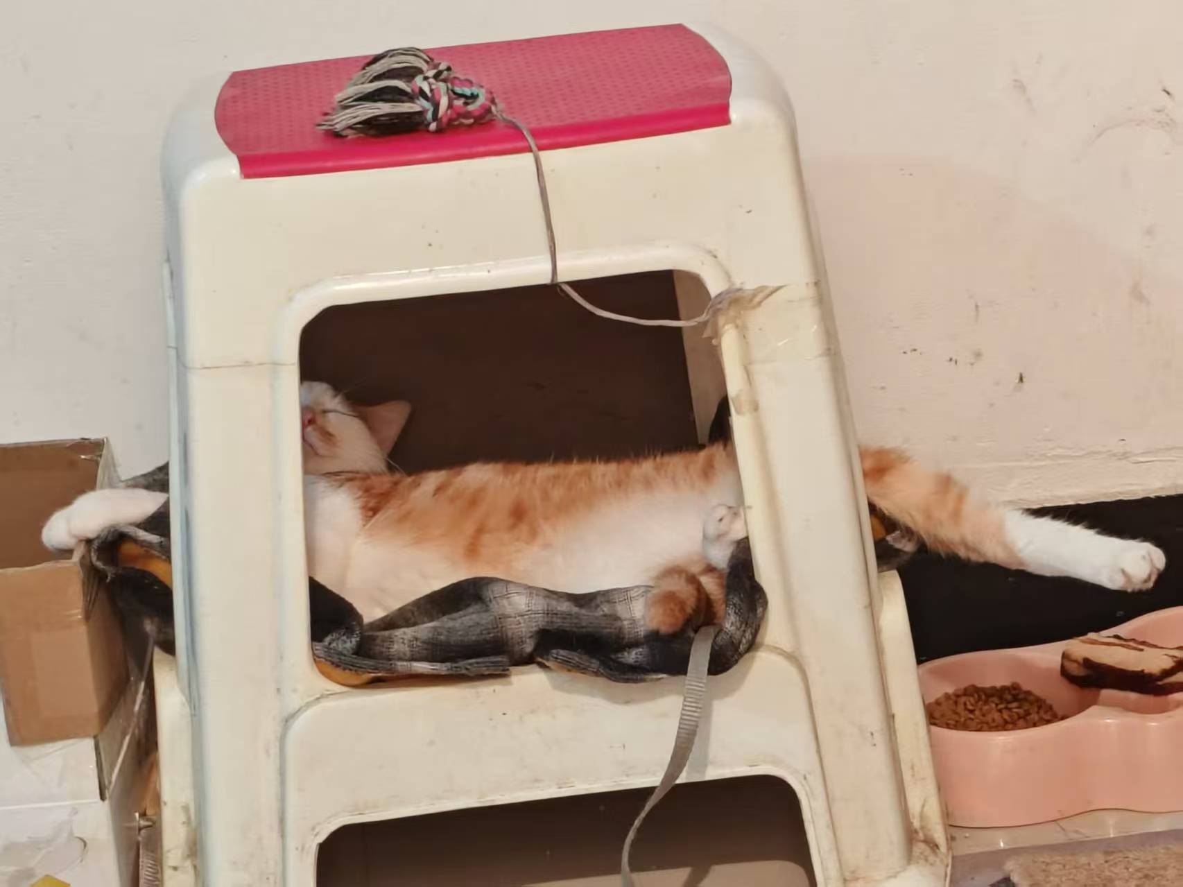 Create 202508140609401