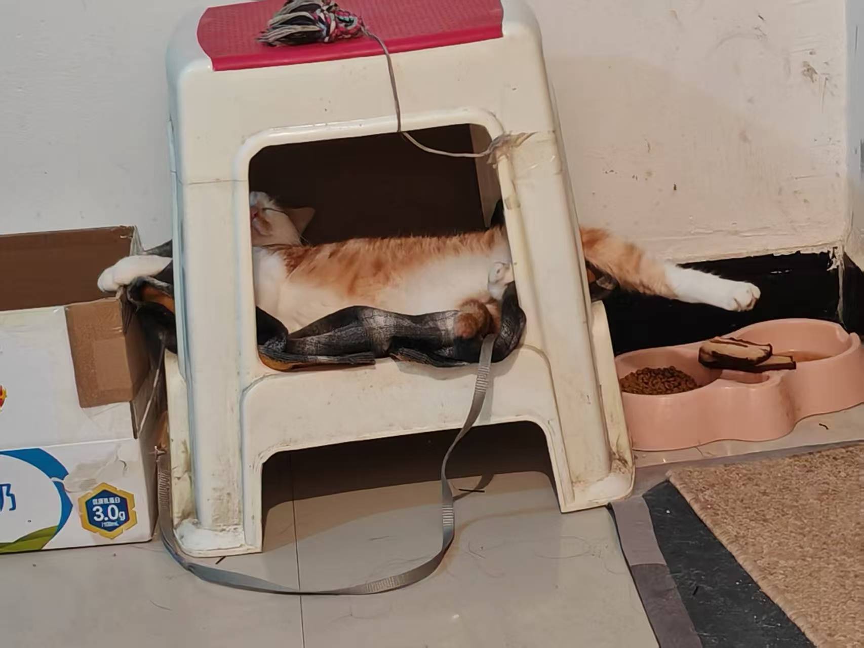 Create 202508140609402