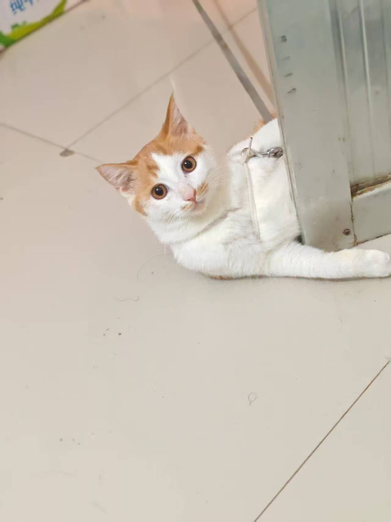 Create 202508140609405