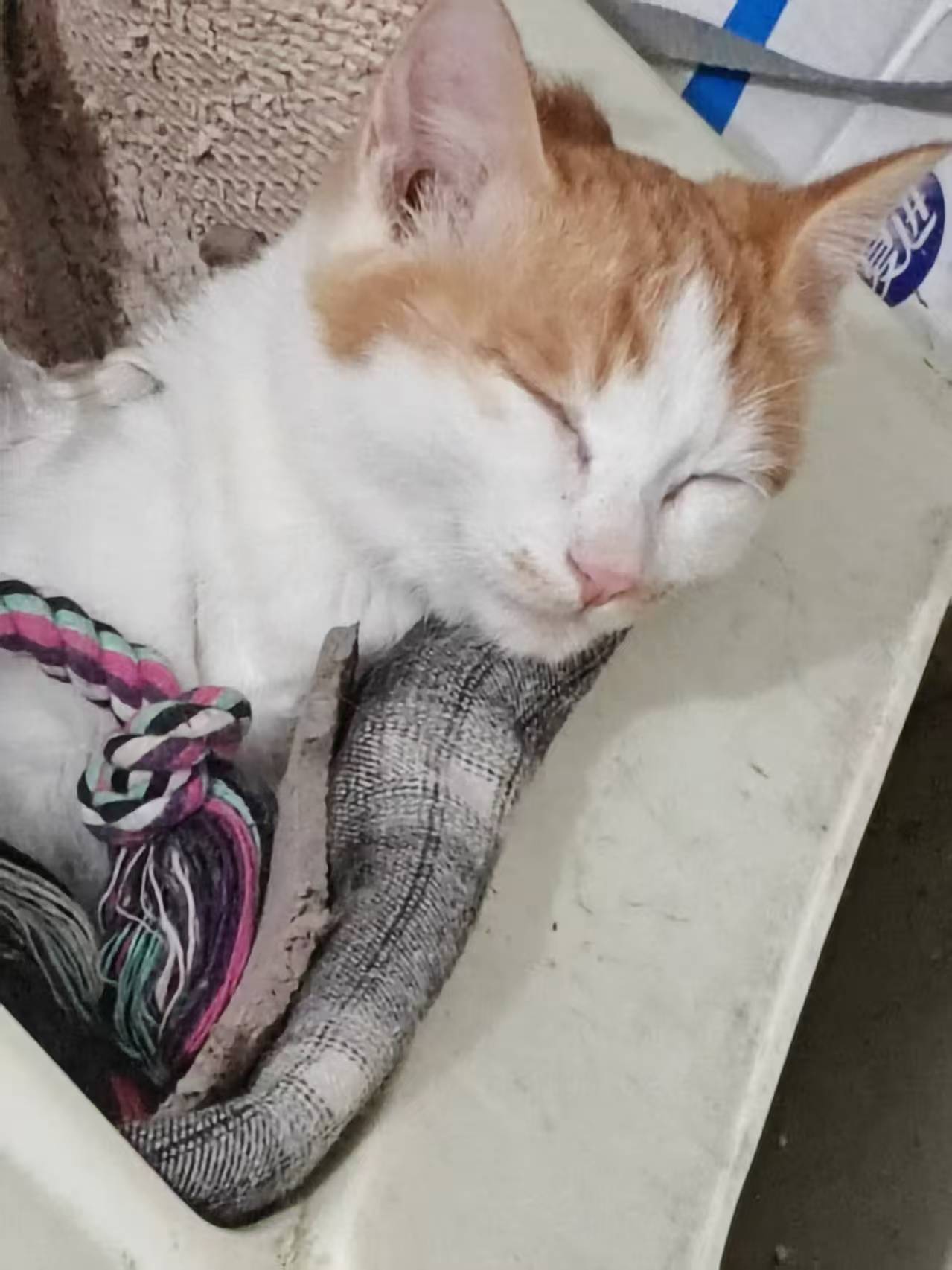 Create 202508140609409