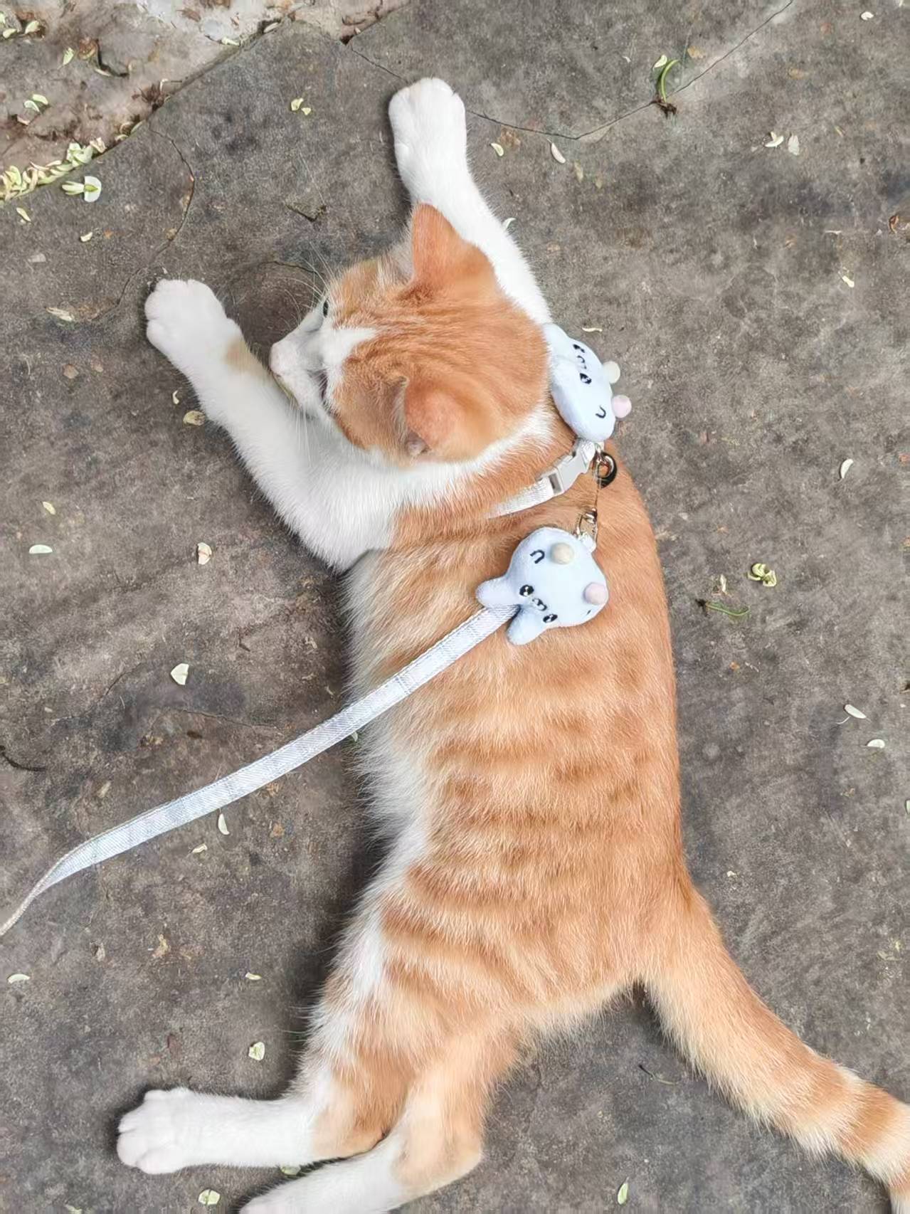 Create 20250814060941