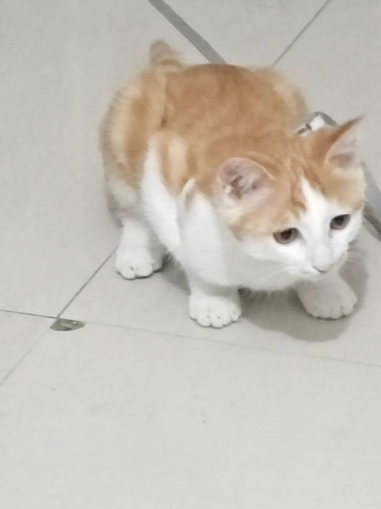 Create 202508140609411