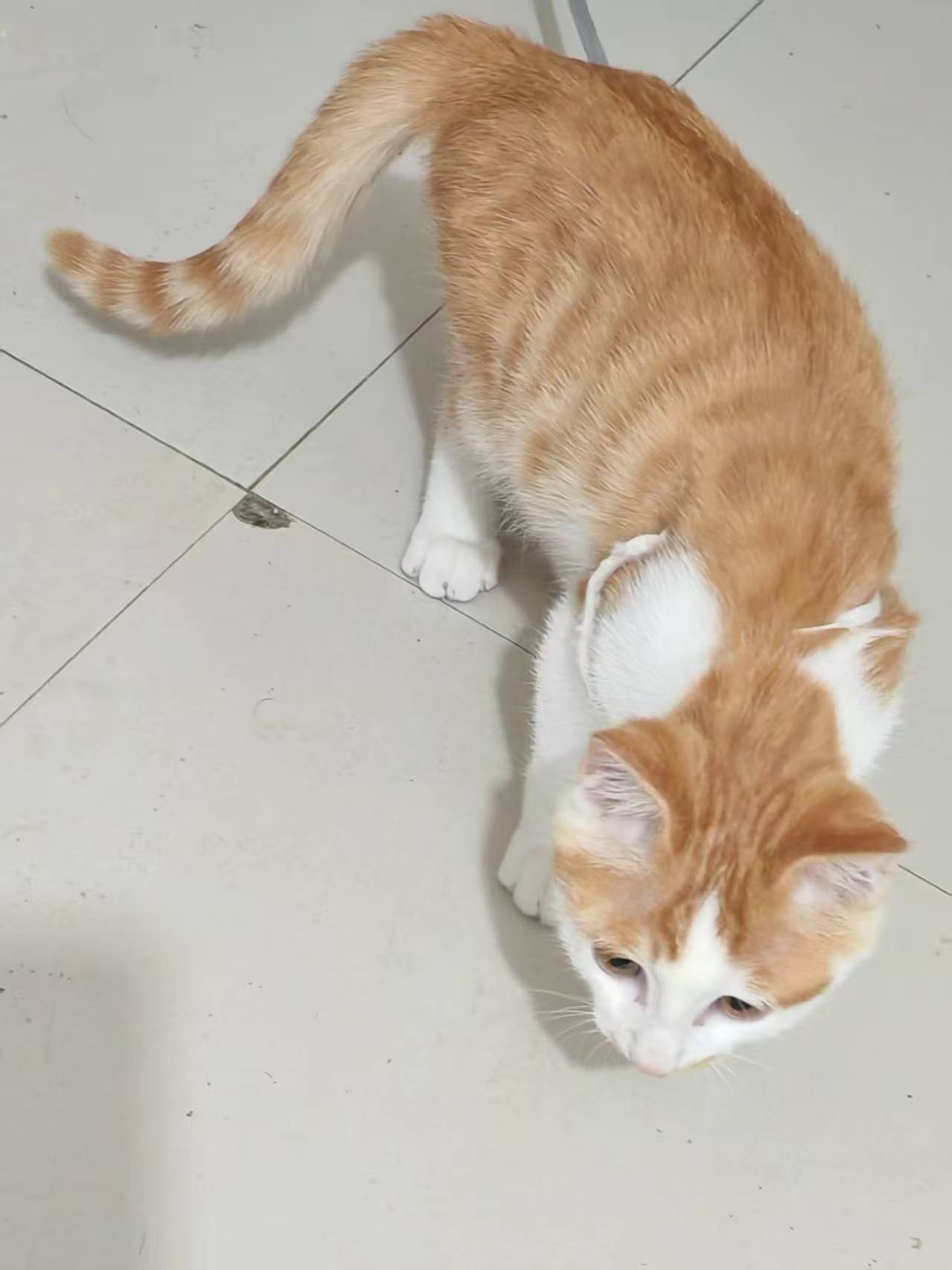 Create 202508140609415