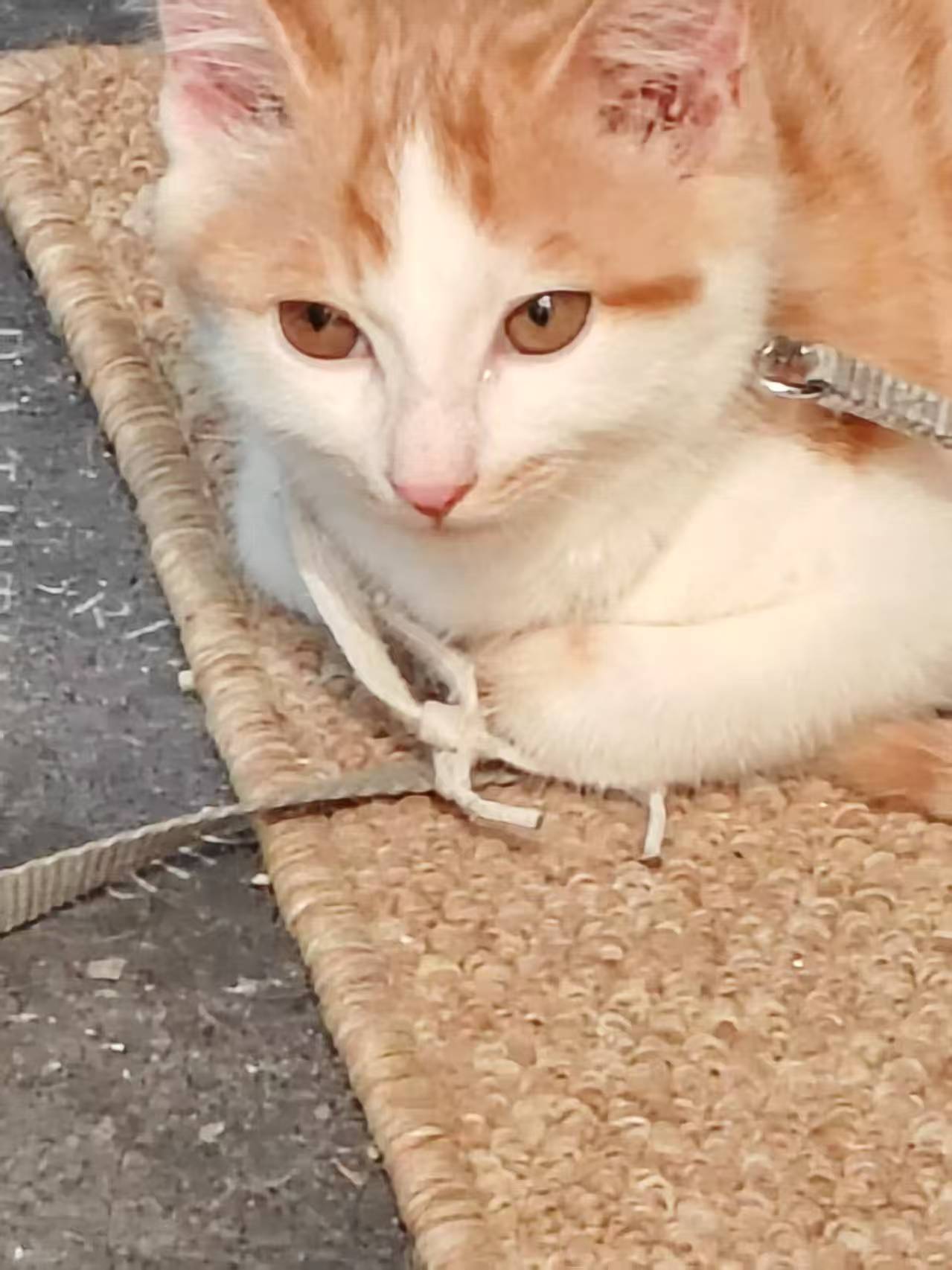 Create 202508140609424