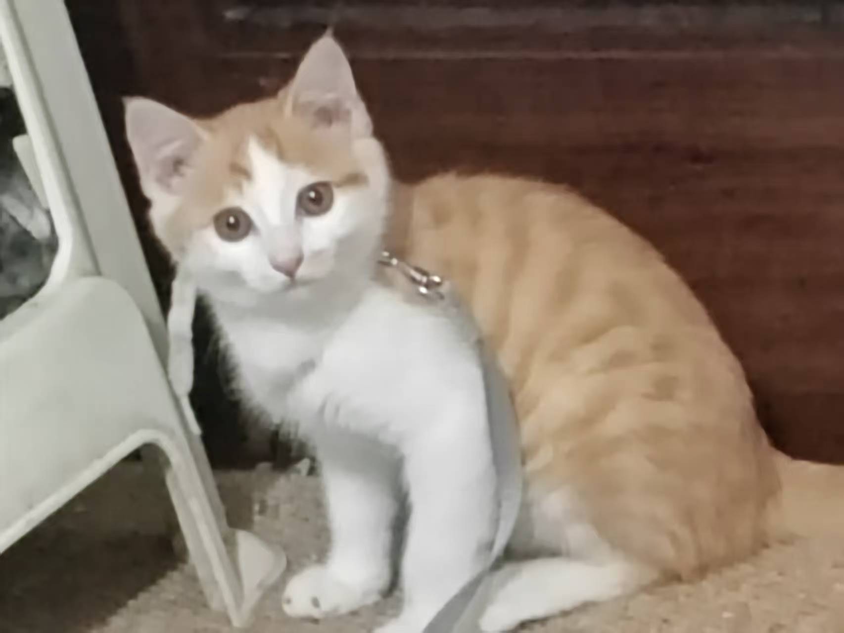 Create 202508140609425