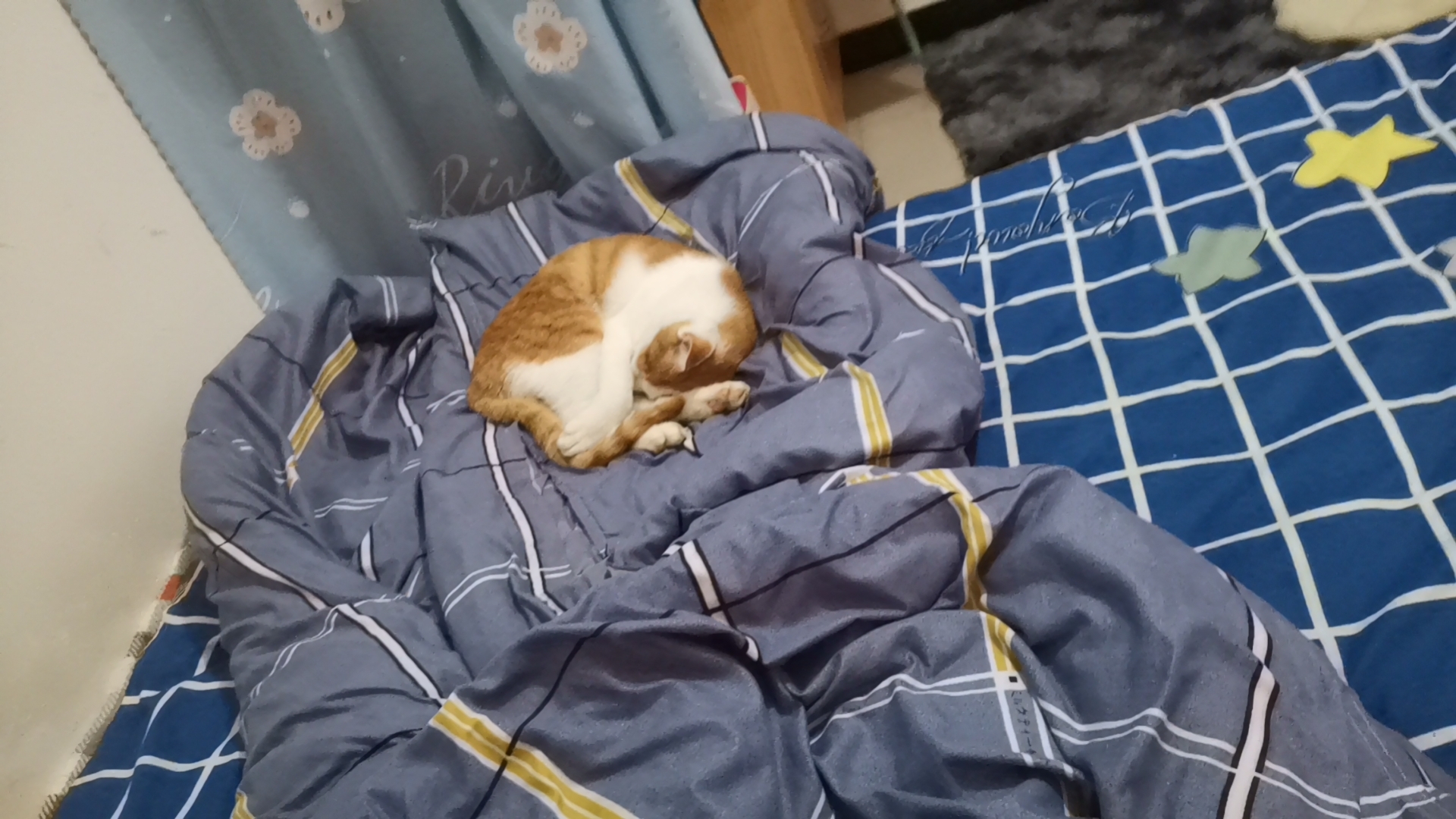 Wx camera 1698072112216