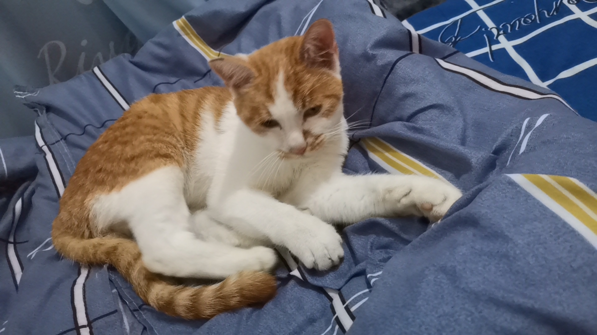 Wx camera 1698072180229