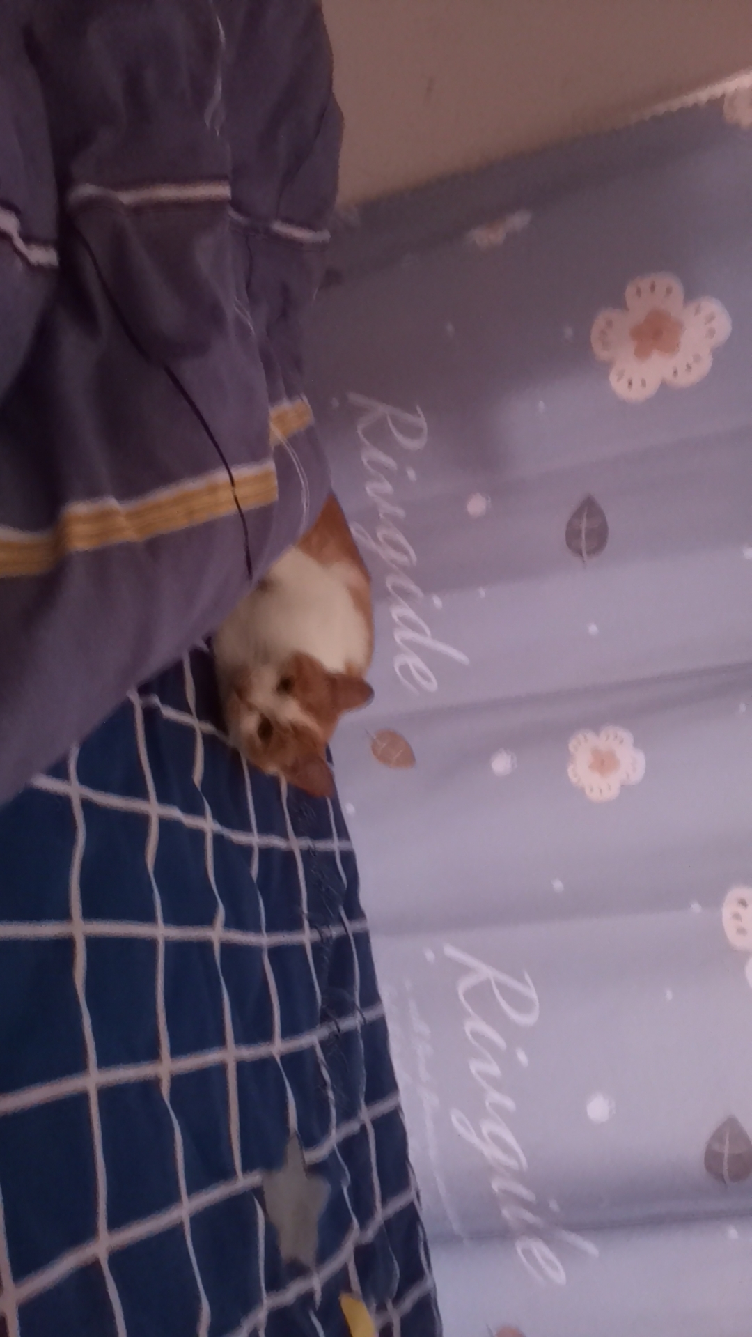 Wx camera 1698118285242