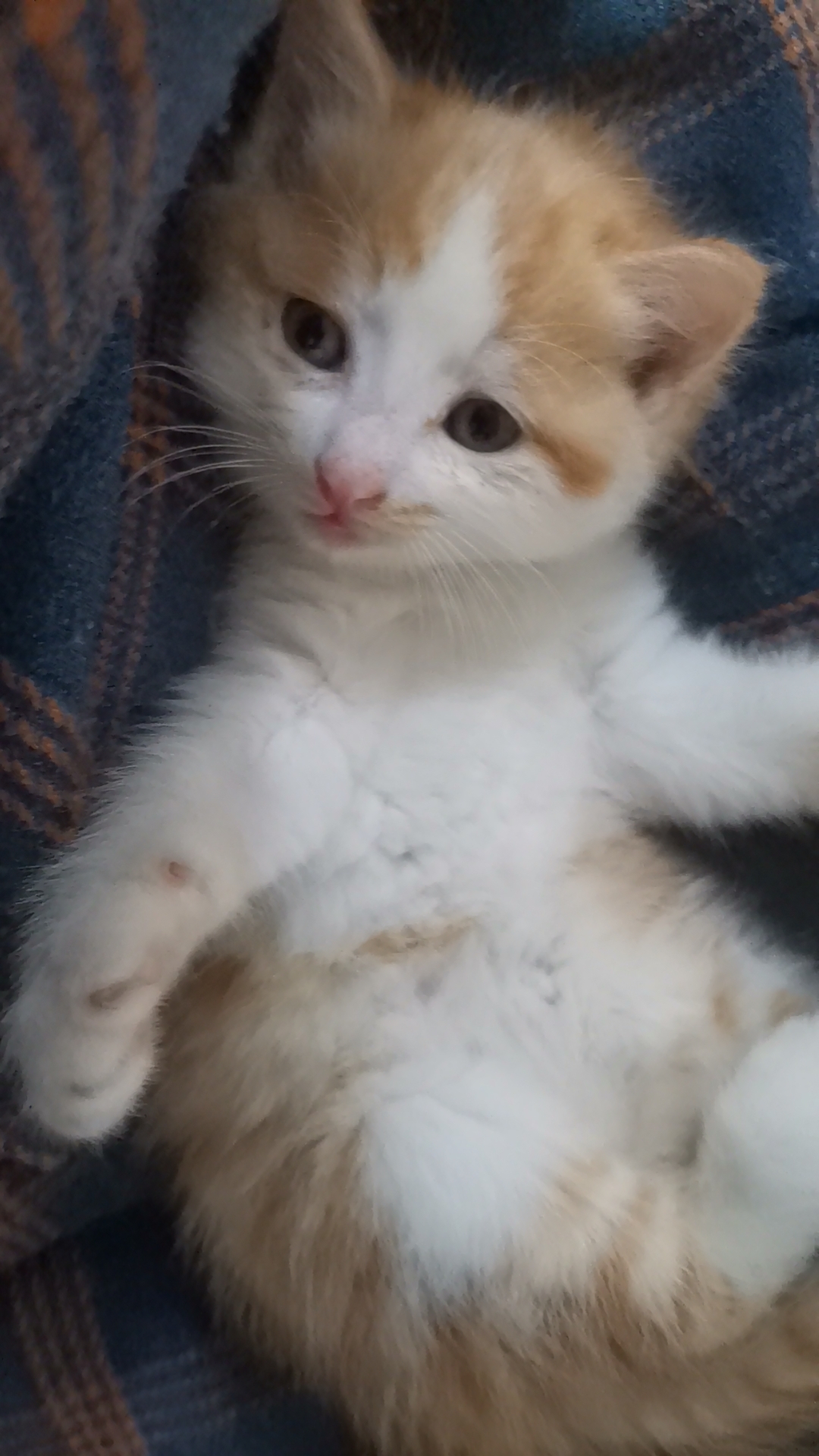 Wx camera 1711761599500